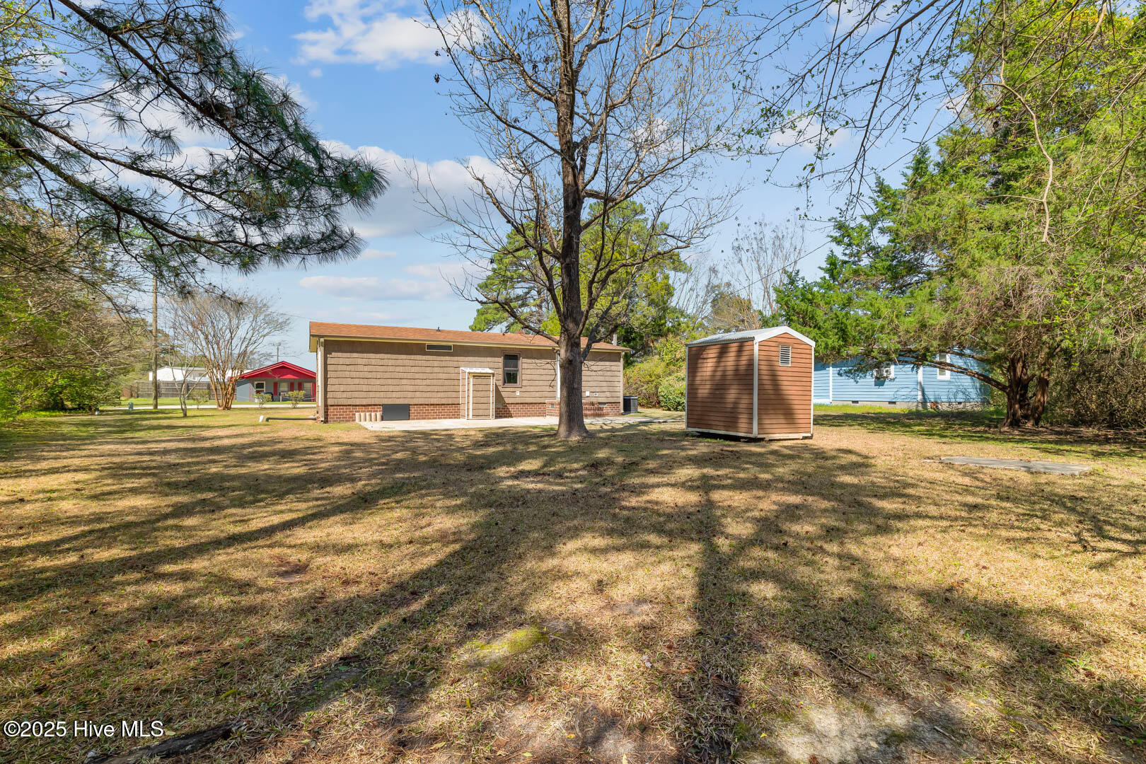 100565795 | Photo 33