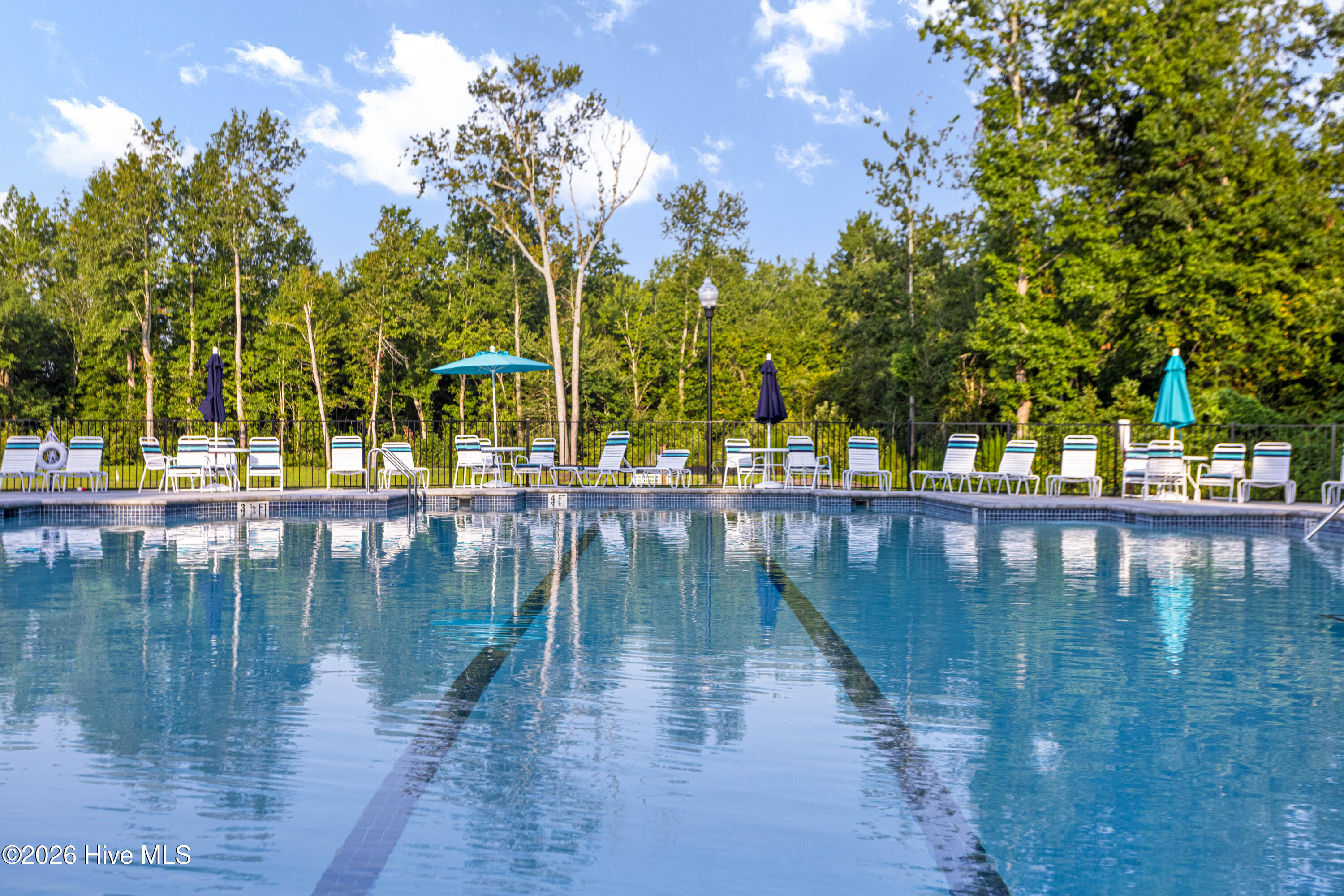 100554021 | Photo 48