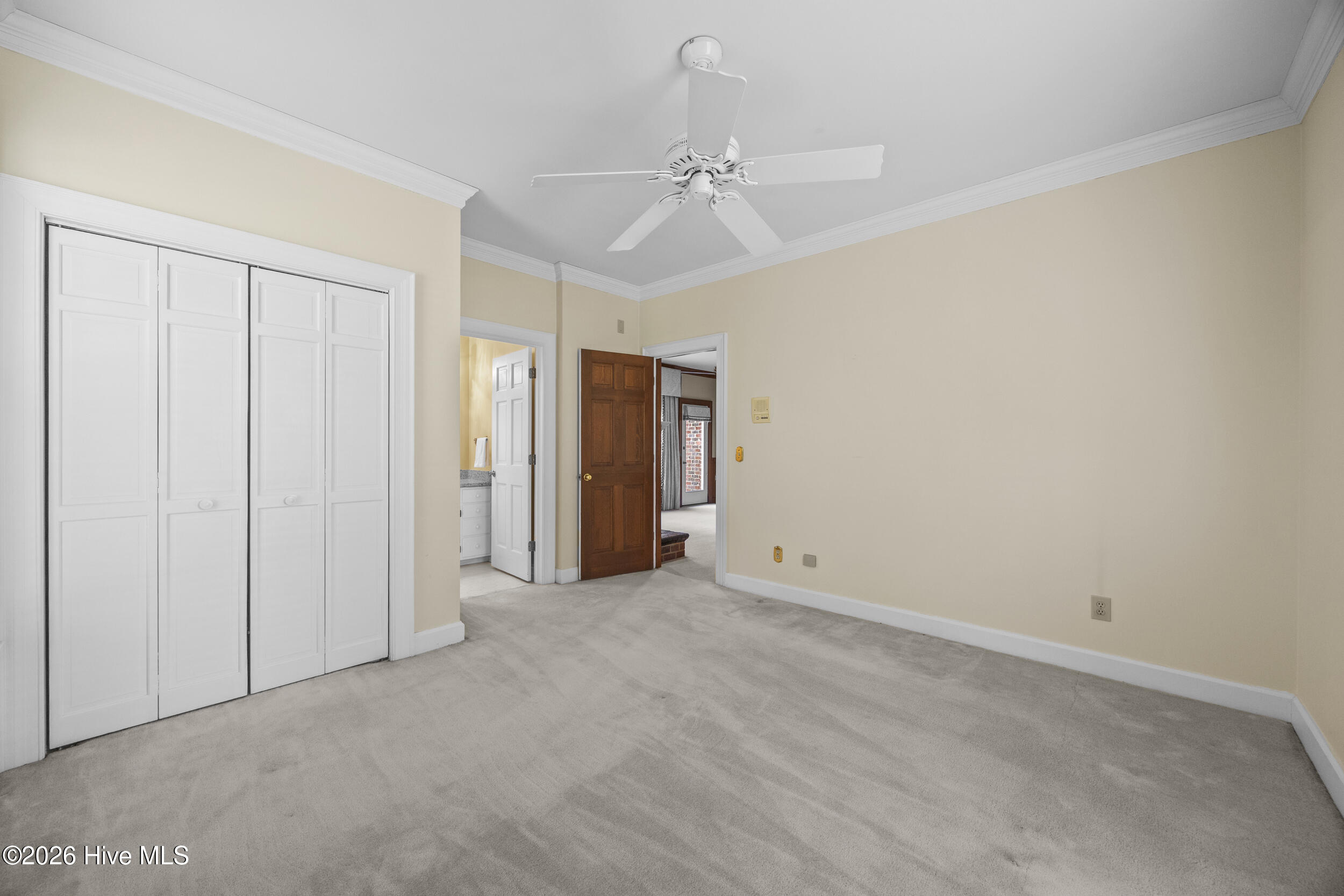 100560704 | Photo 33