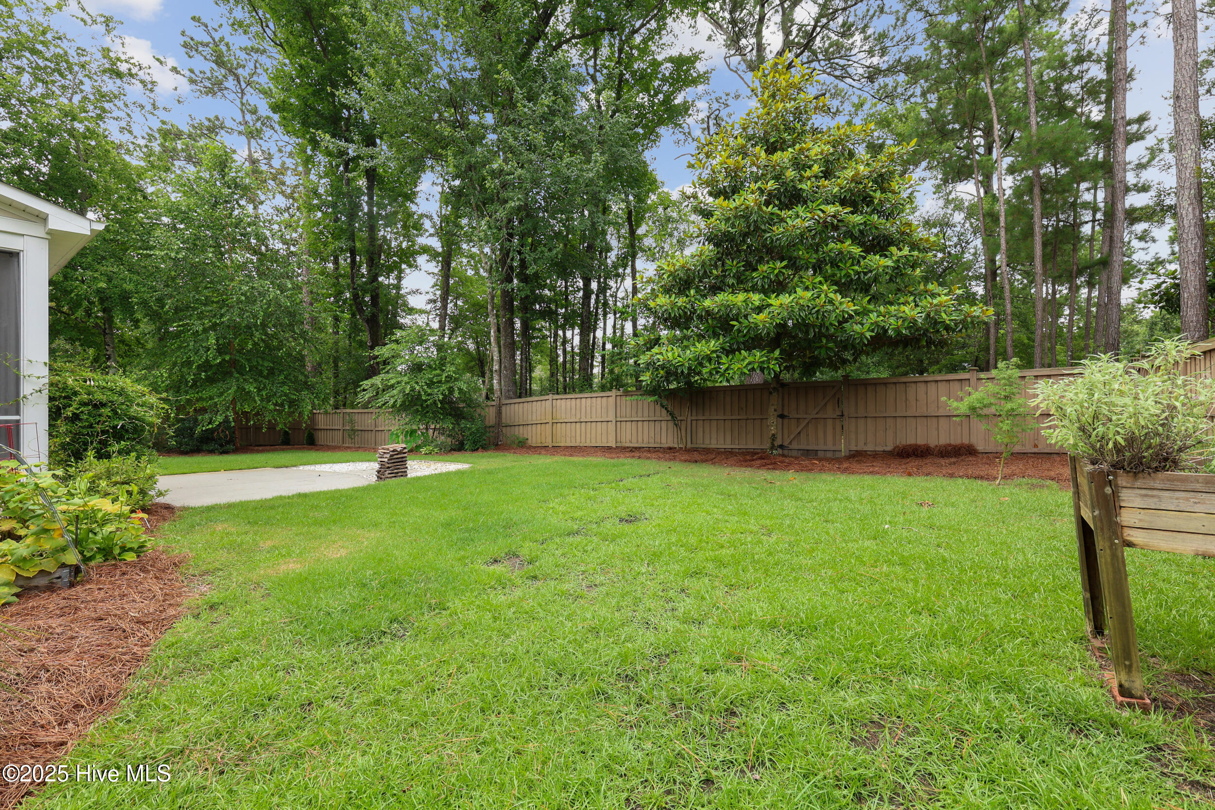 100518241 | Photo 37