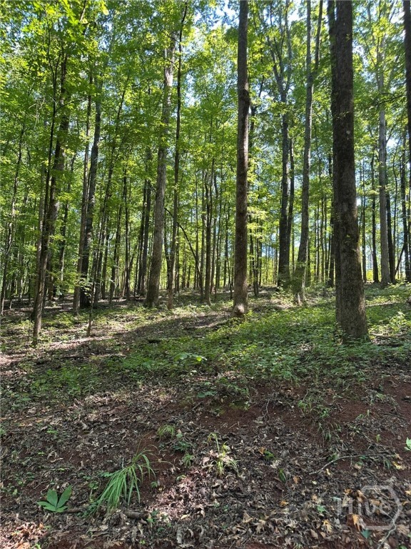 00 Fears, Madison, GA, 30650