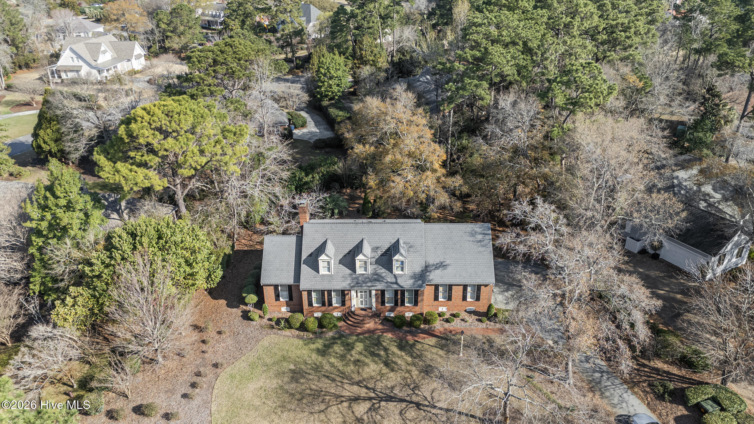 100560704 | Photo 80