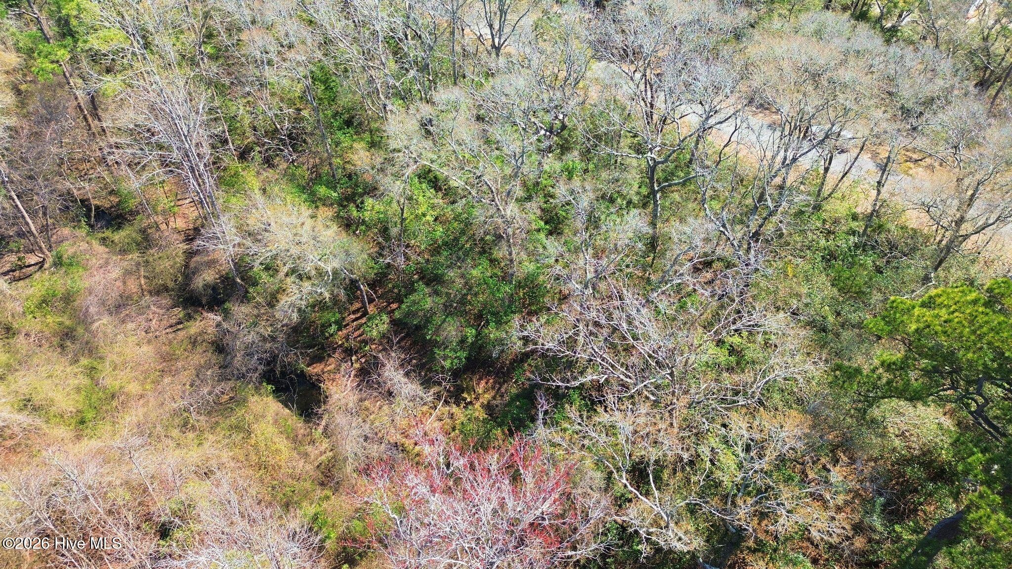 100560126 | Photo 30