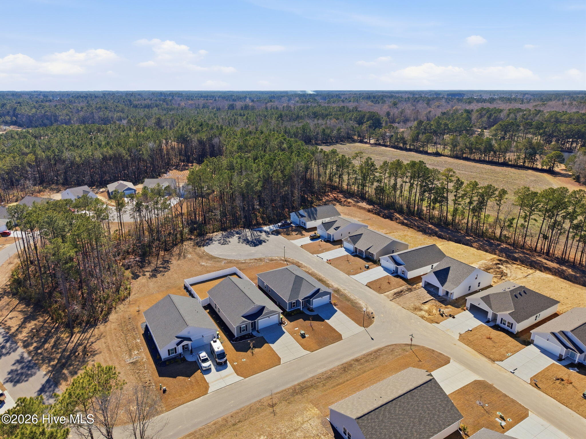 100554618 | Photo 14