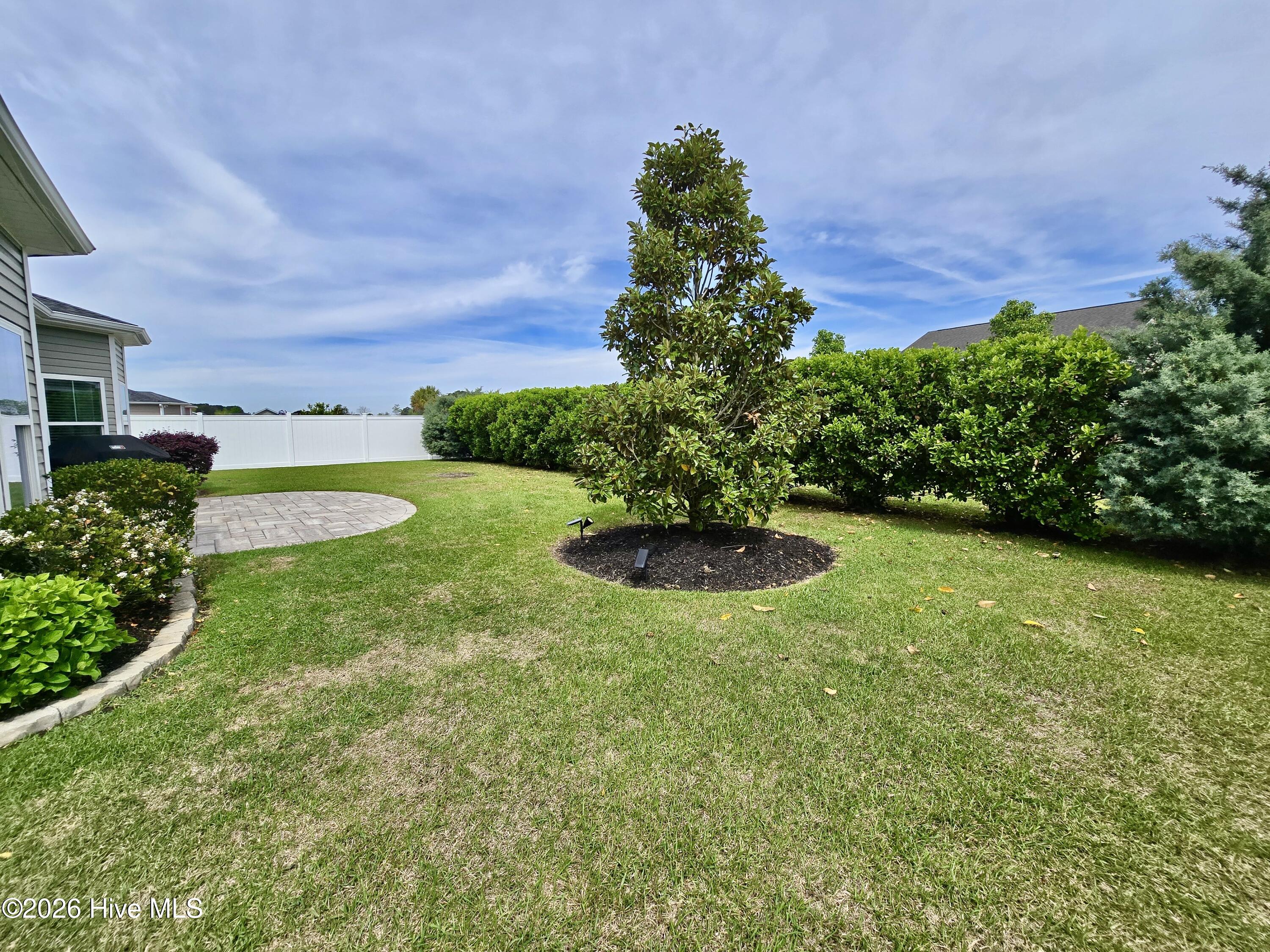 100551713 | Photo 36