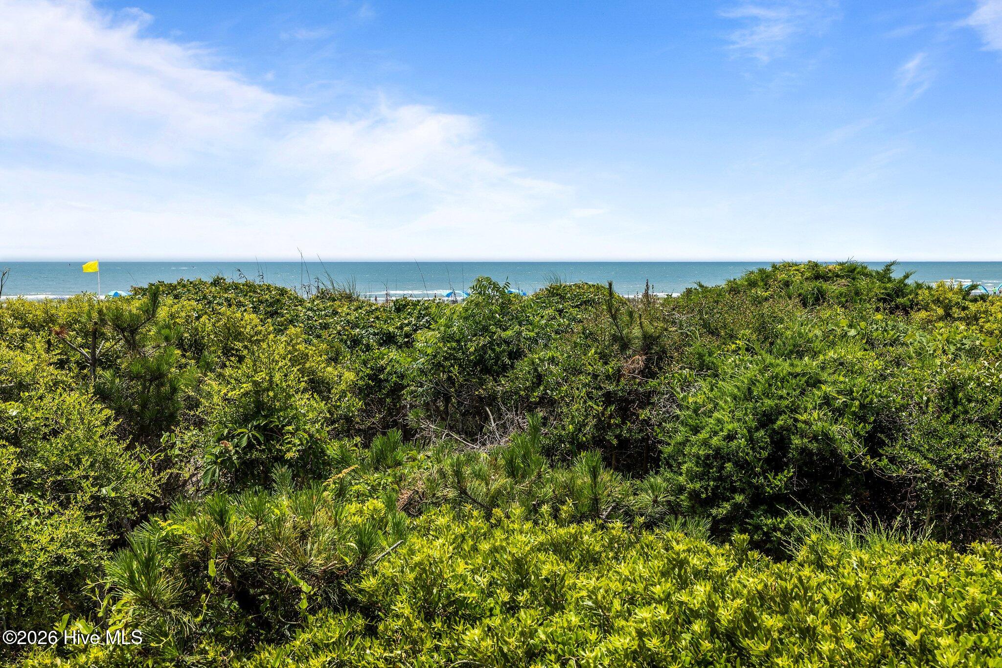 100551038 | Photo 28