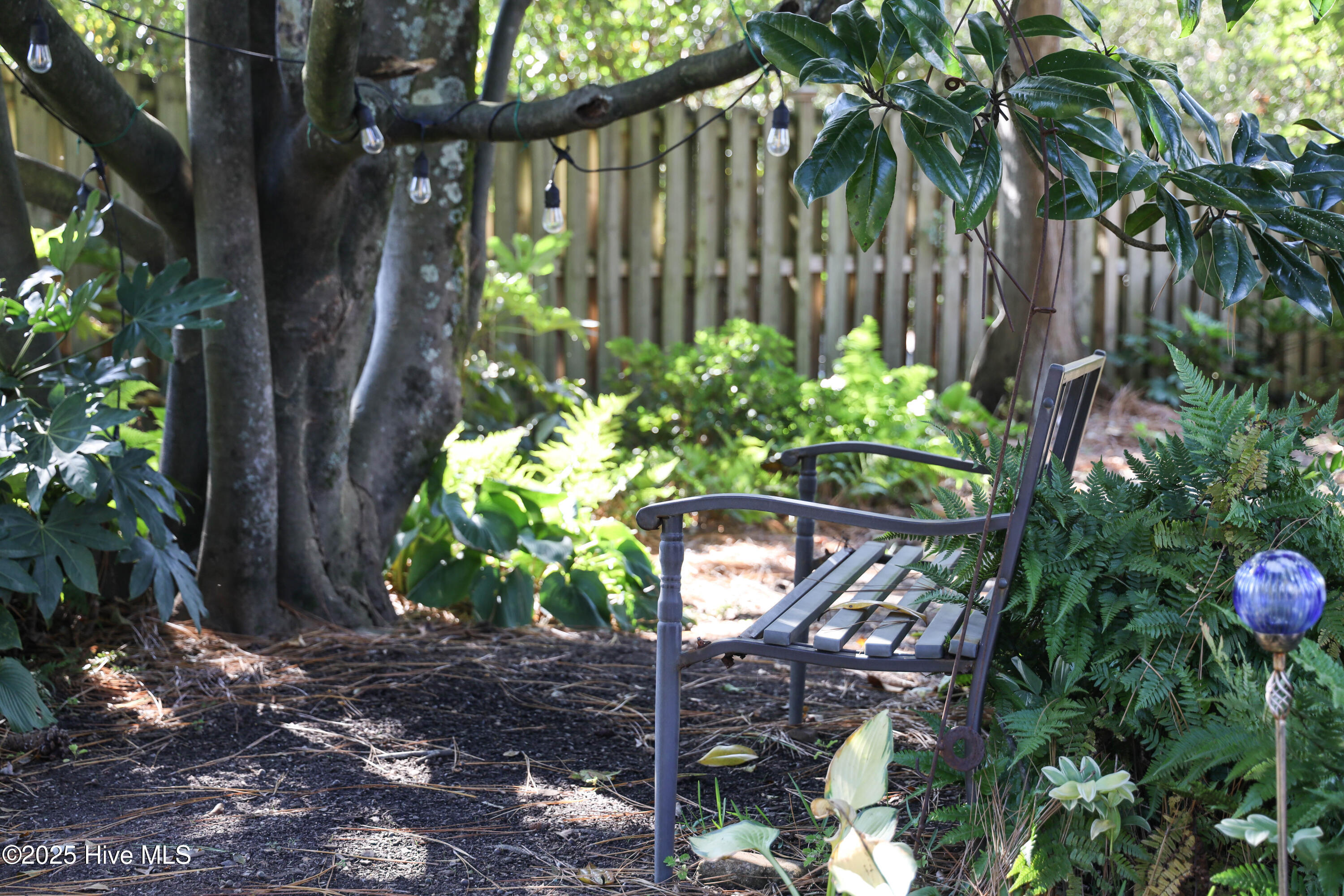 100538841 | Photo 65