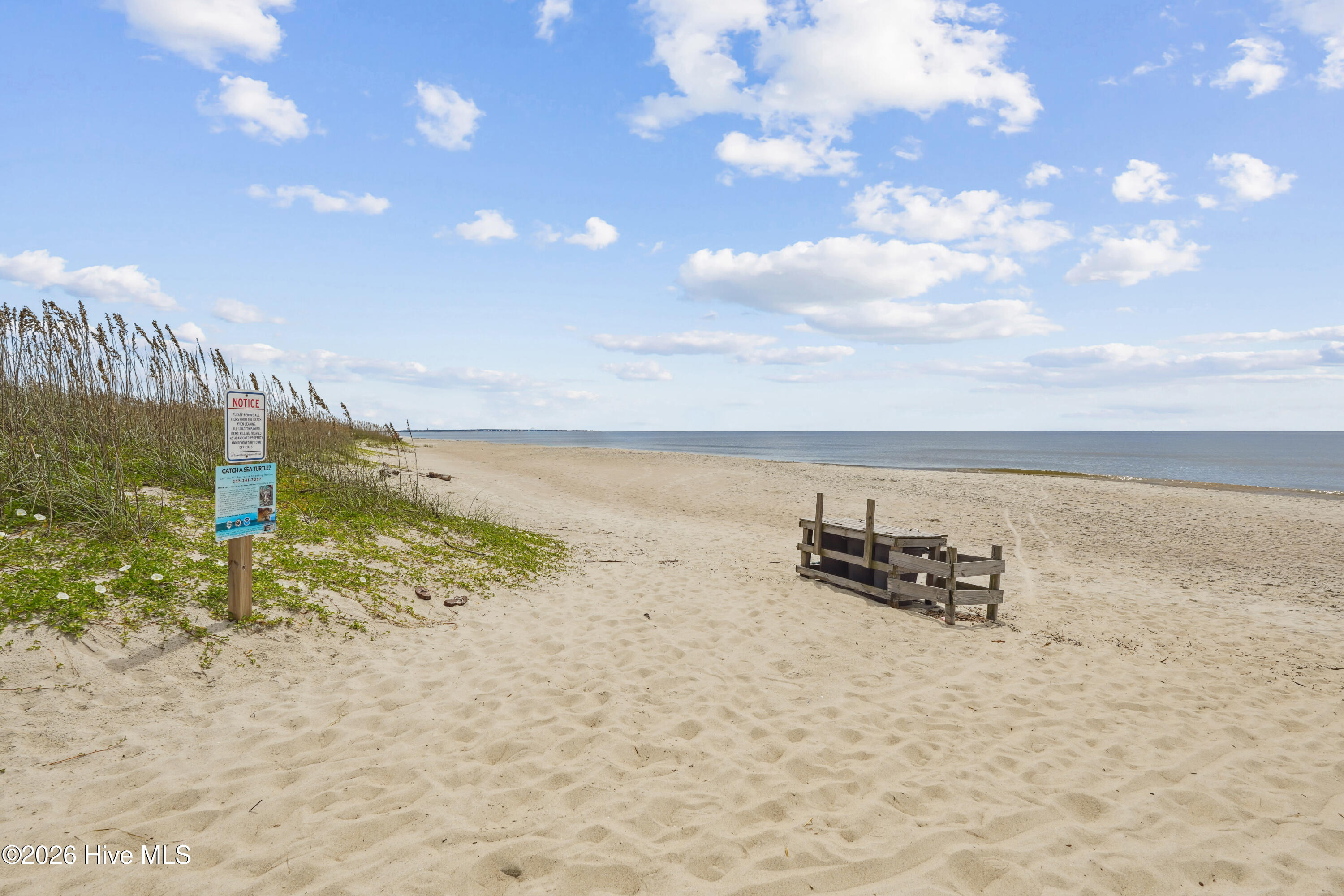 100522927 | Photo 17