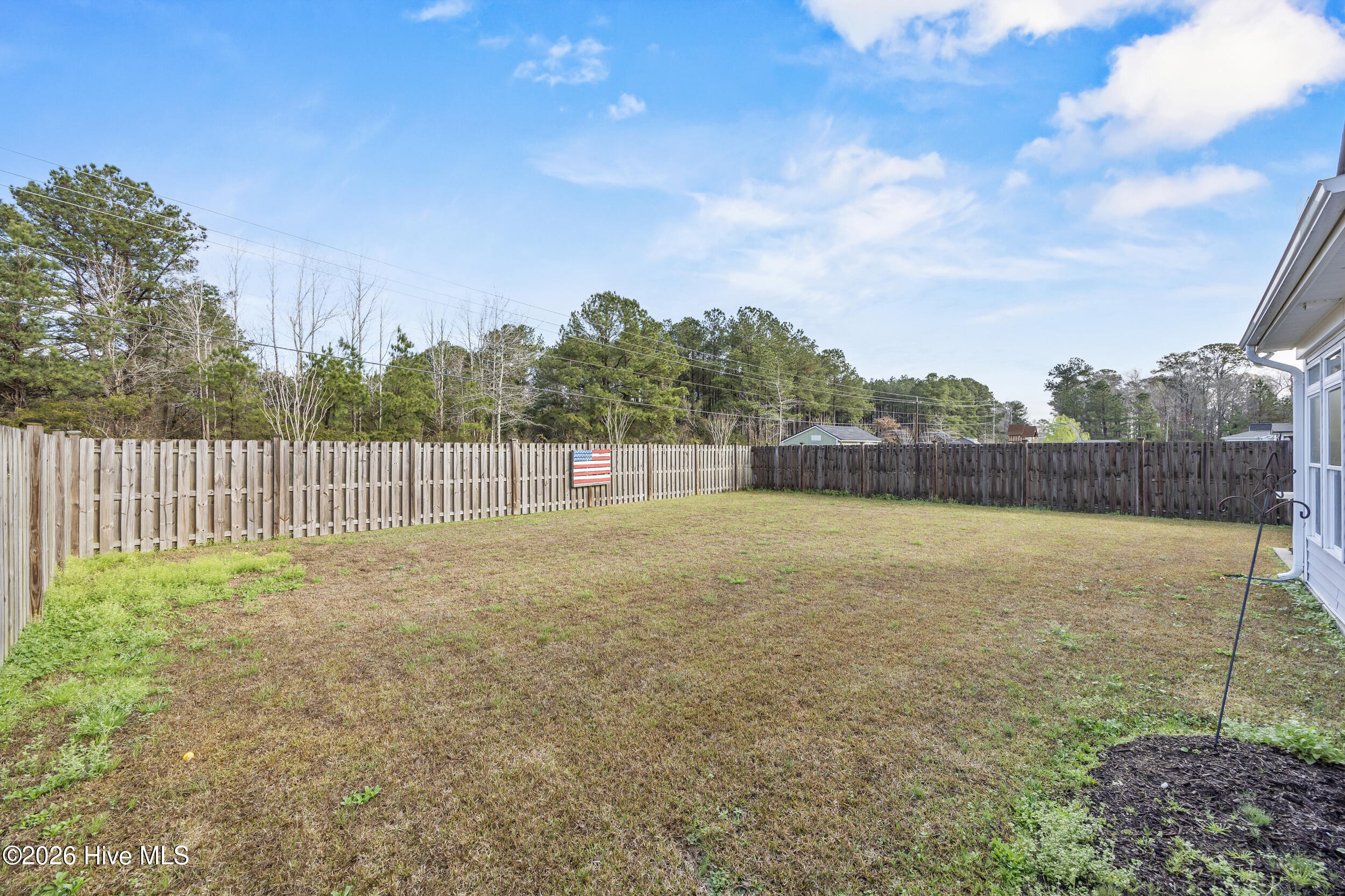 100559295 | Photo 43