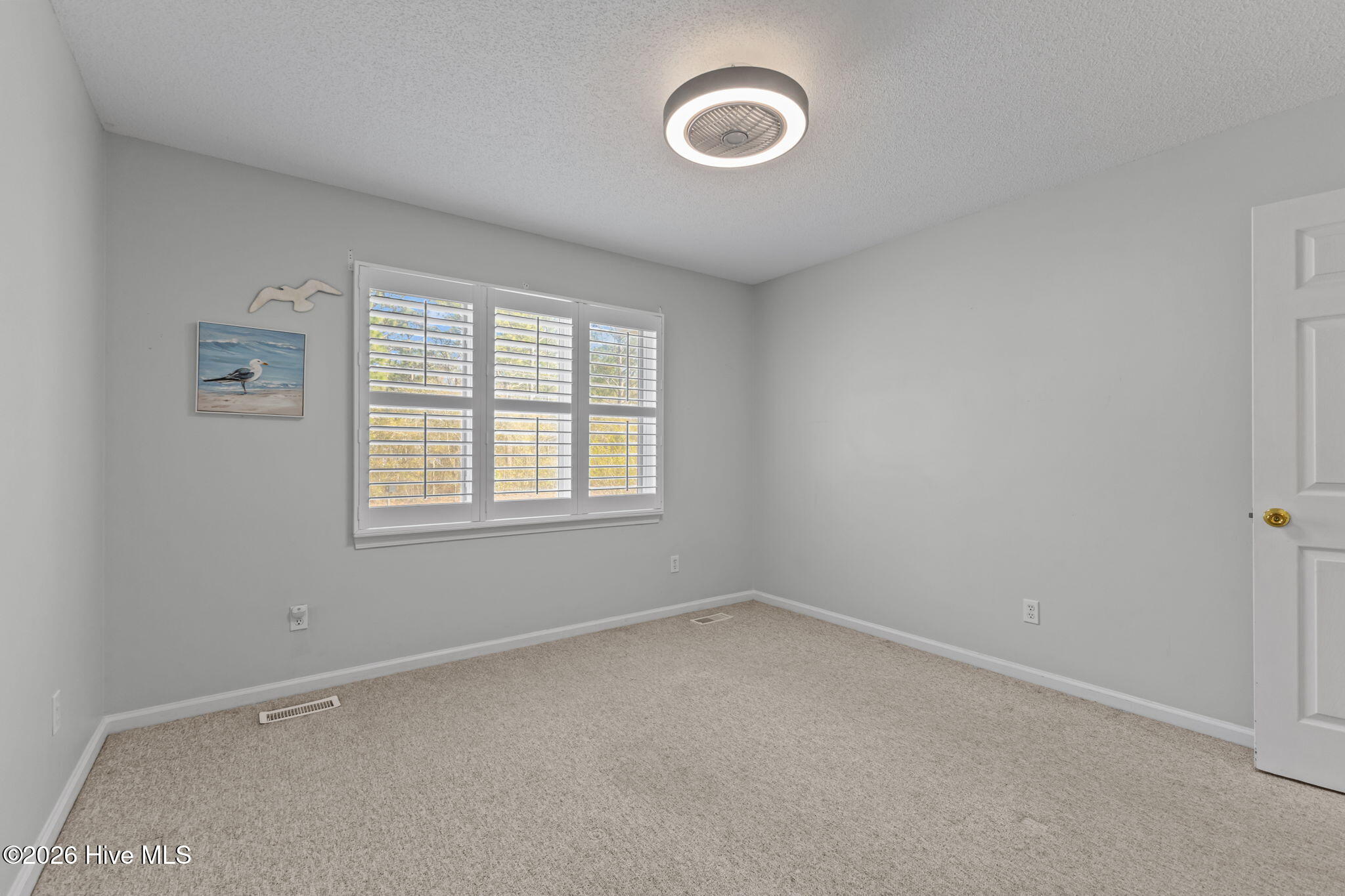 100564884 | Photo 26