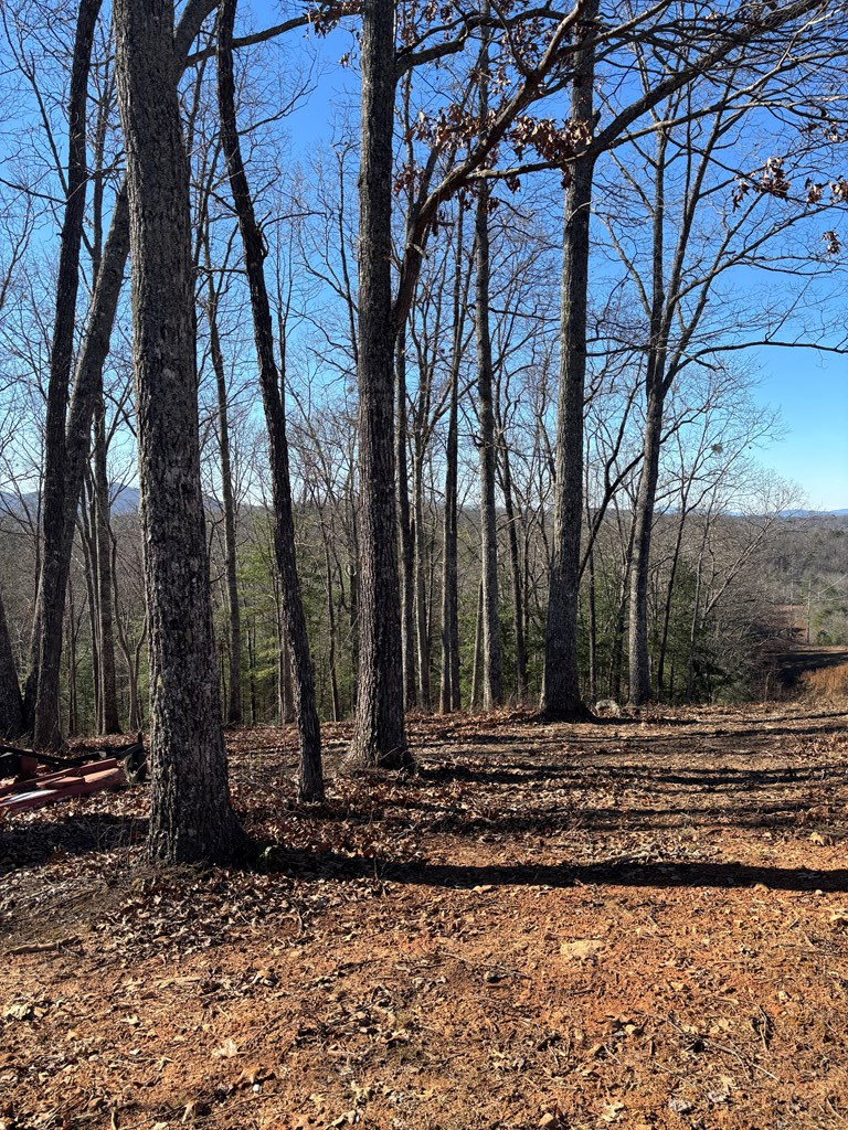 Exterior photo of Lot 64 64 Thundering Hill, Murphy, NC 28906. MLS: 98500175