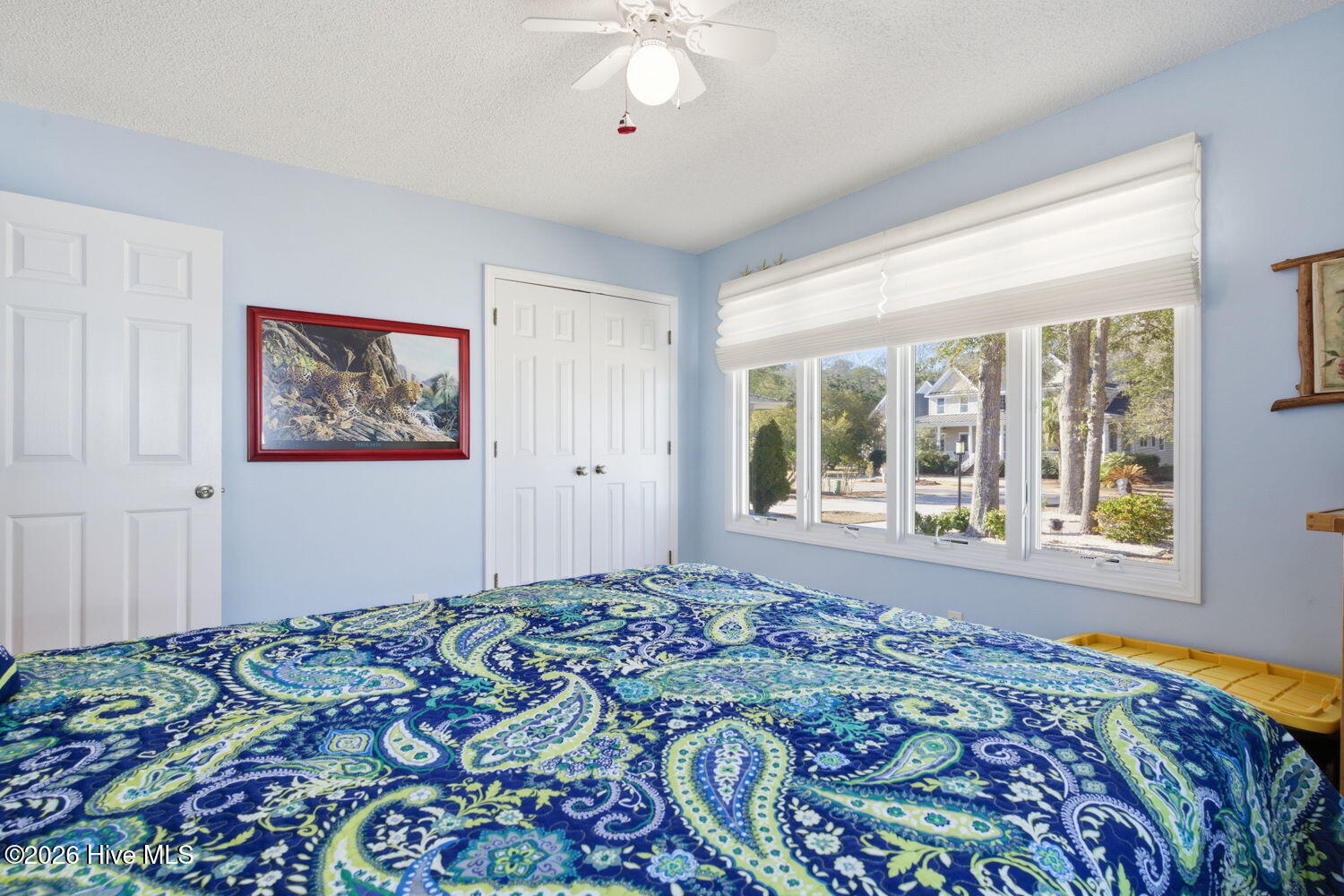 100555679 | Photo 37