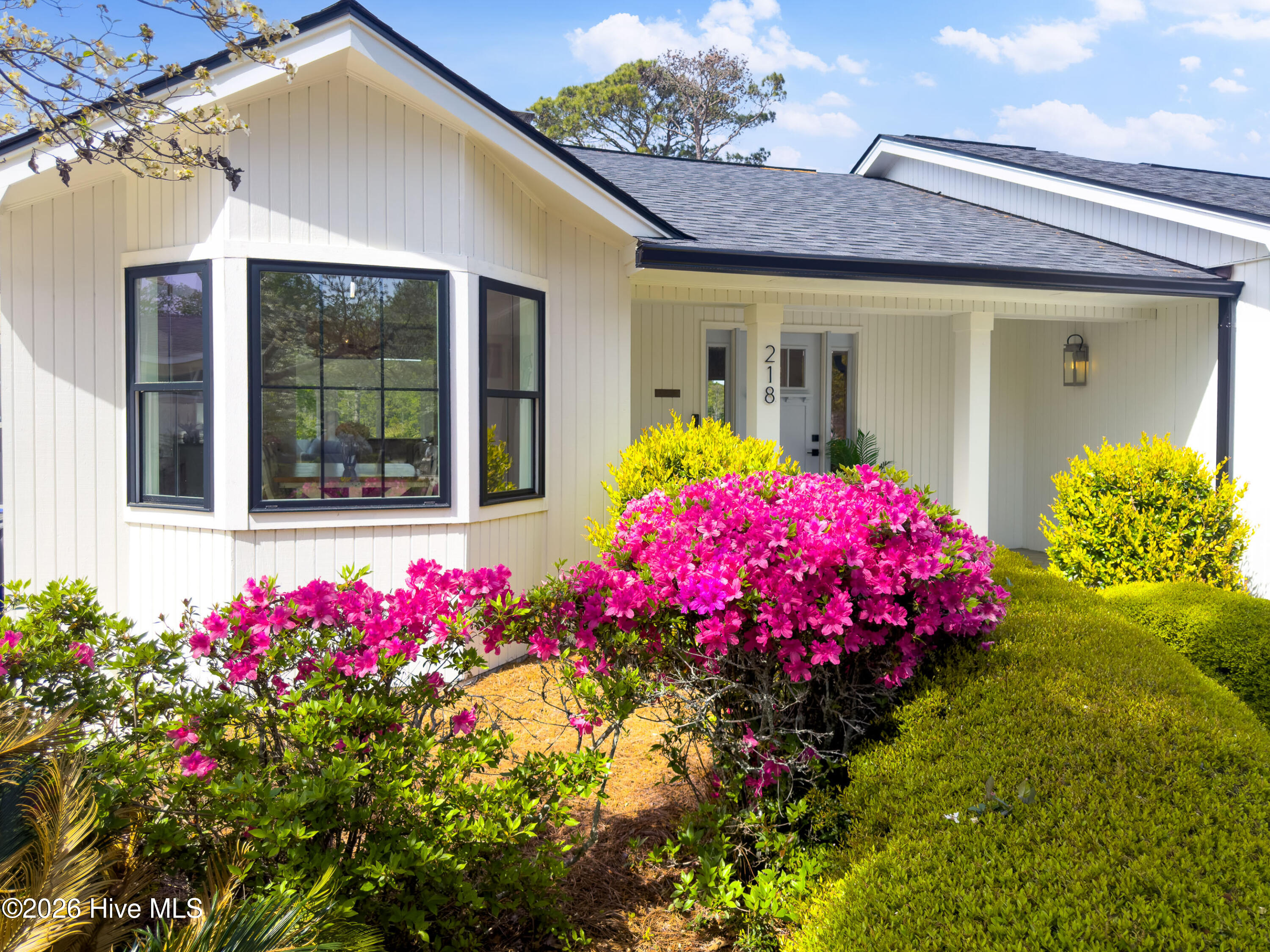 100556349 | Photo 55