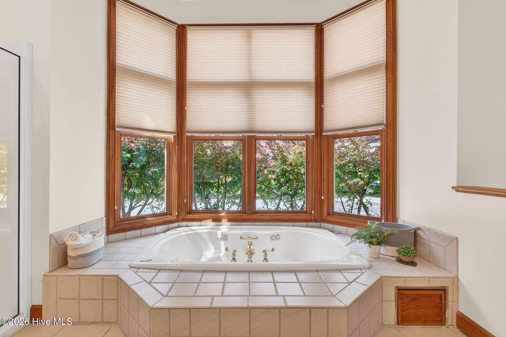 100564885 | Photo 40