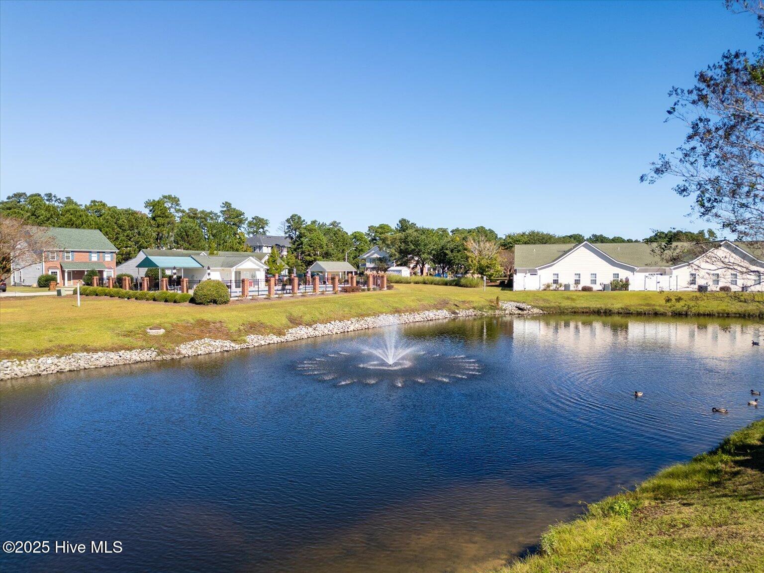 100536897 | Photo 31