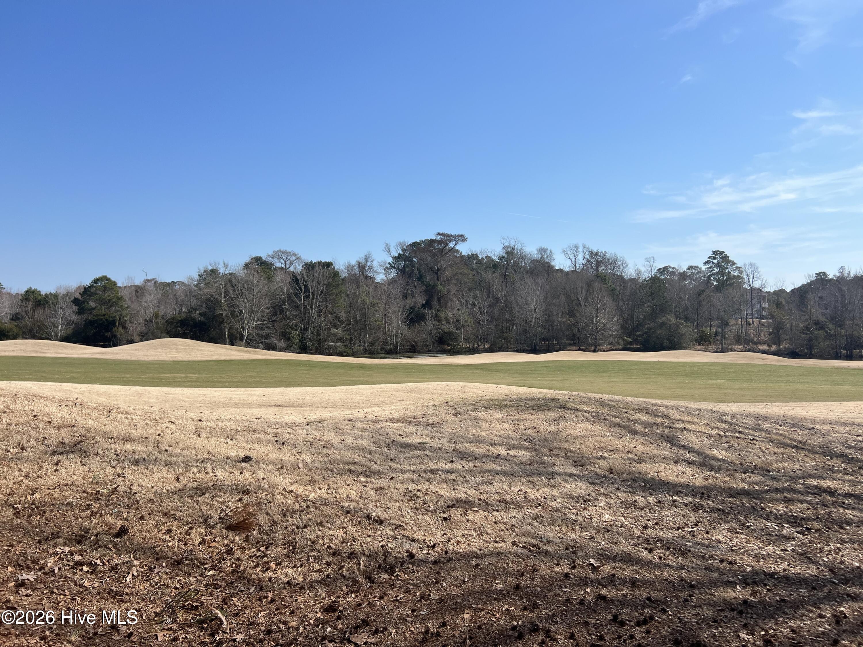 100558877 | Photo 24