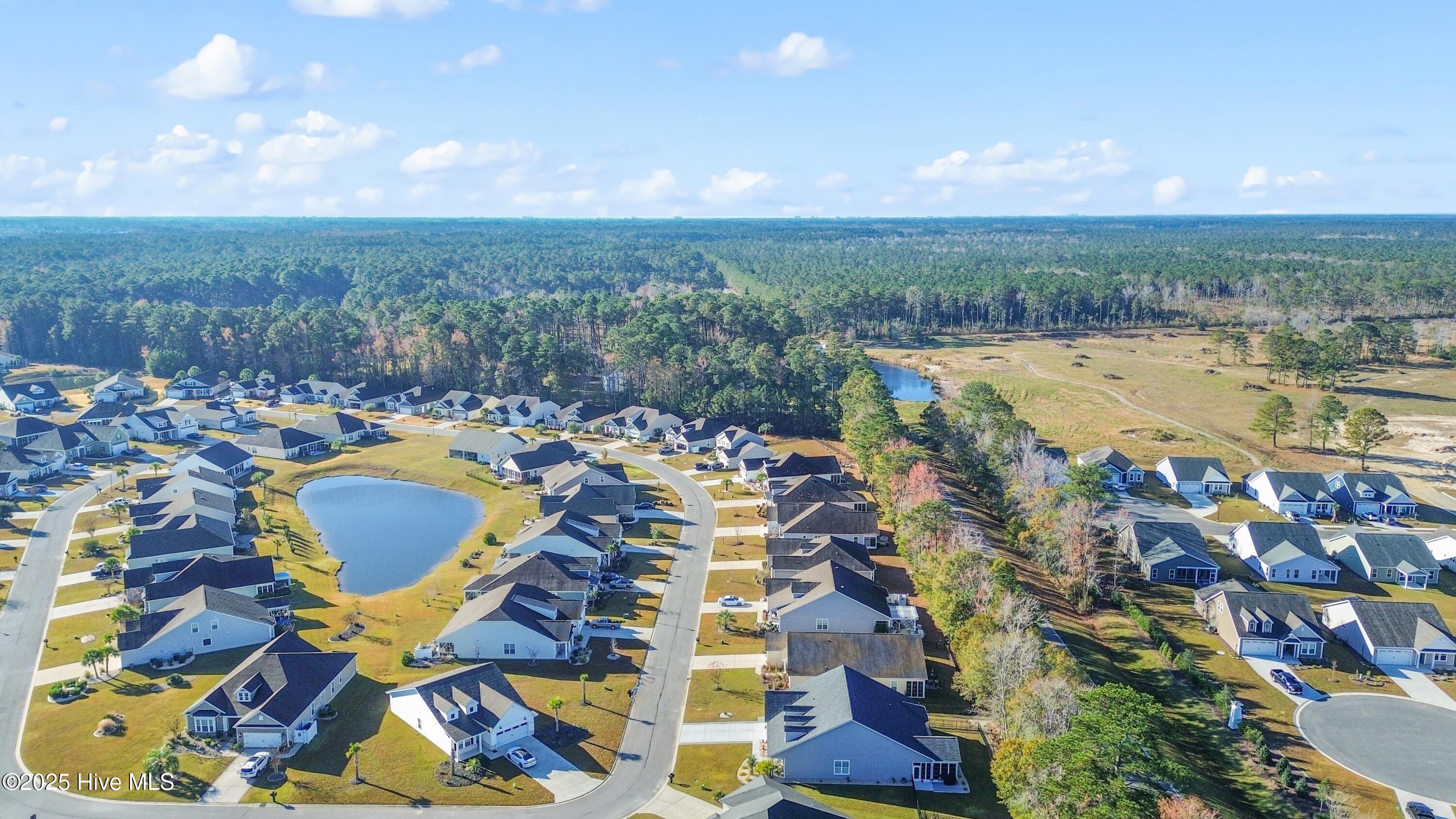 100542898 | Photo 52