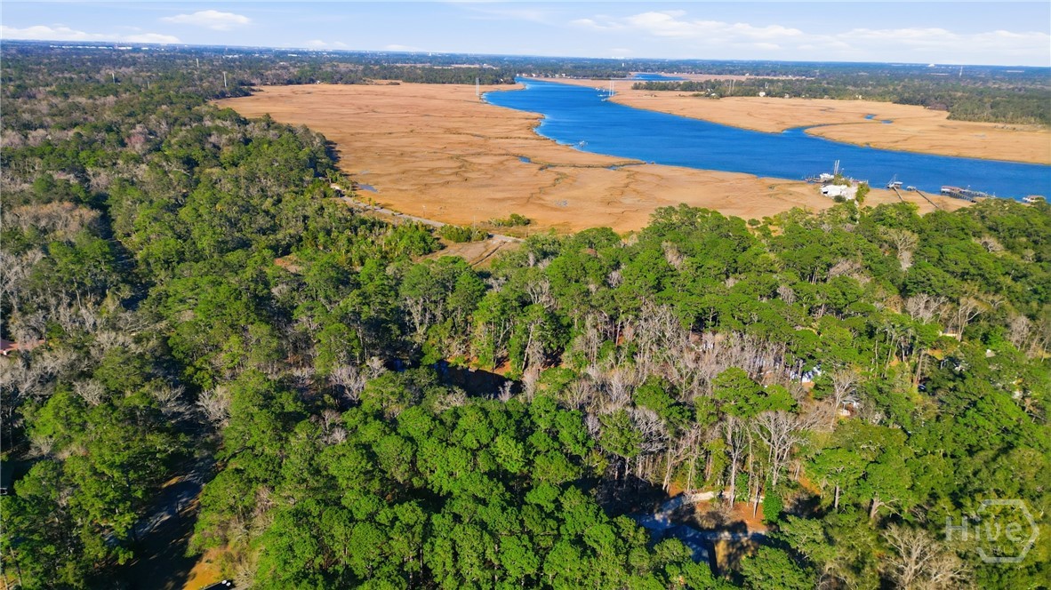 501 Wau Bun Drive, Savannah, GA, 31419