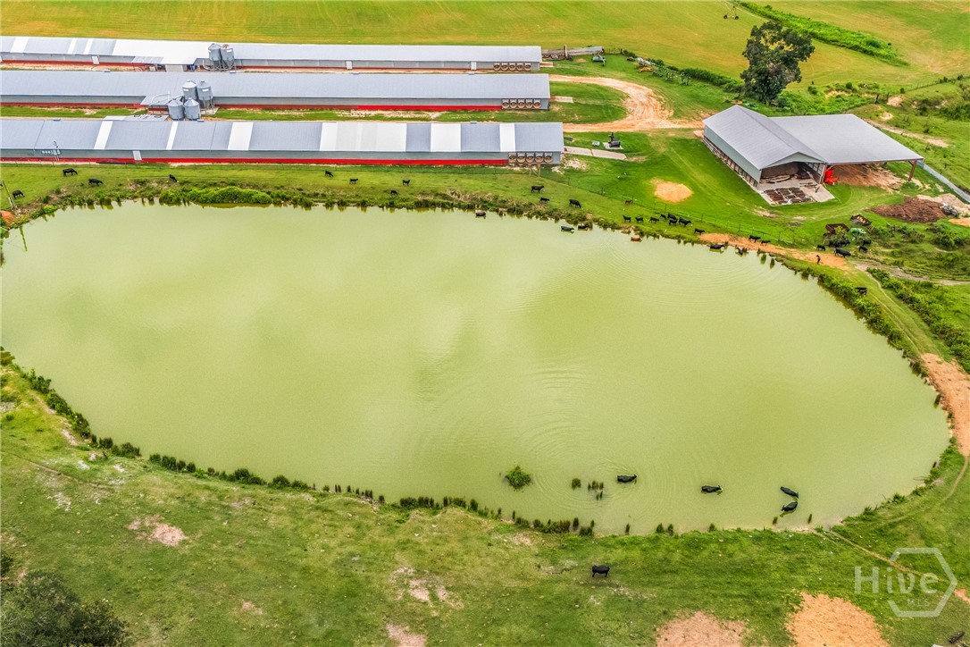 35 foot pond for irrigation