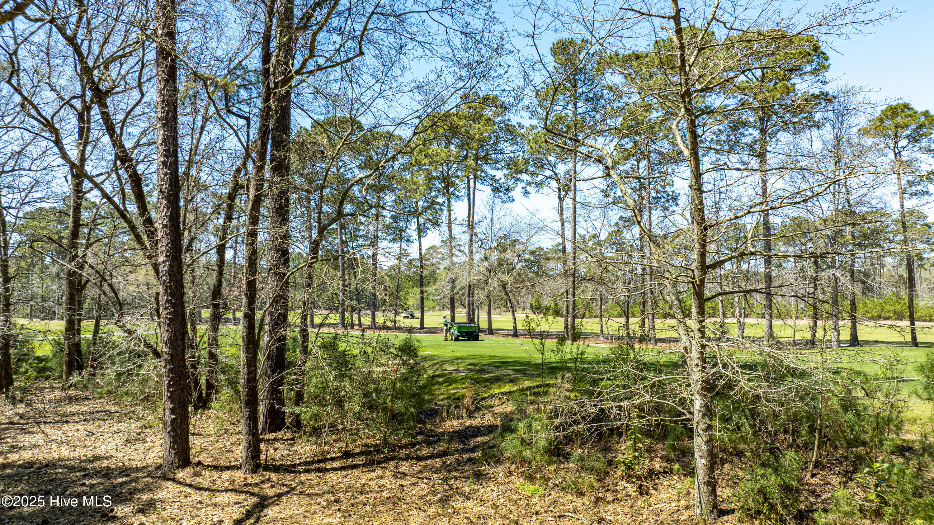 100498596 | Photo 21