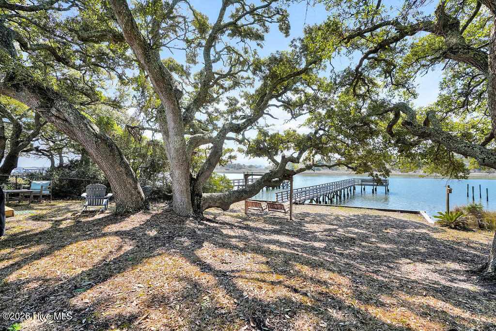 100559547 | Photo 35