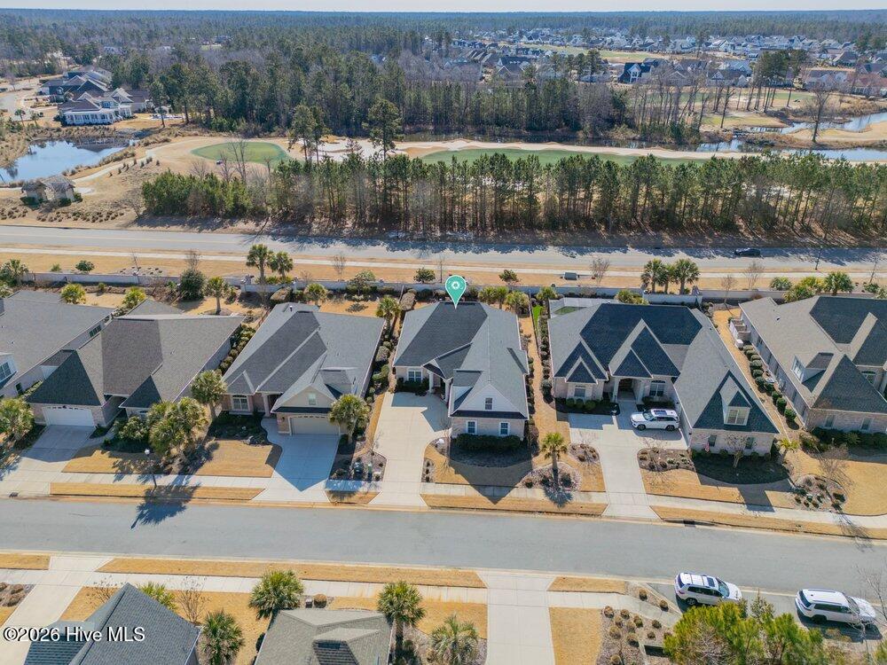 100553268 | Photo 32