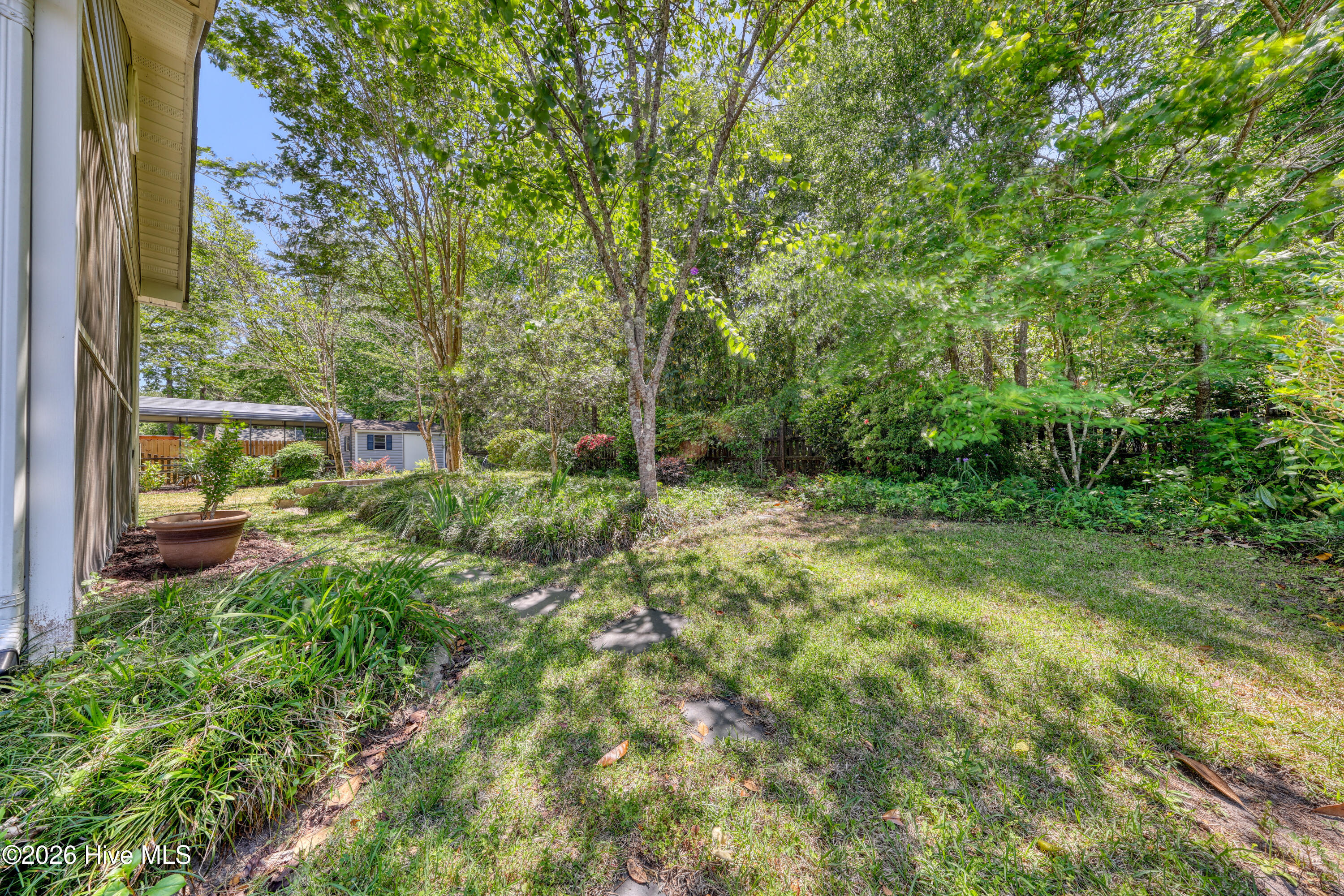 100568485 | Photo 47