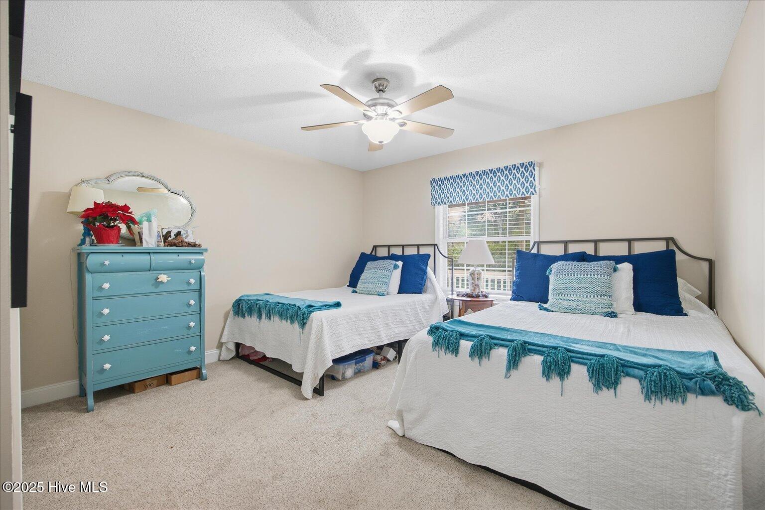 100546689 | Photo 25