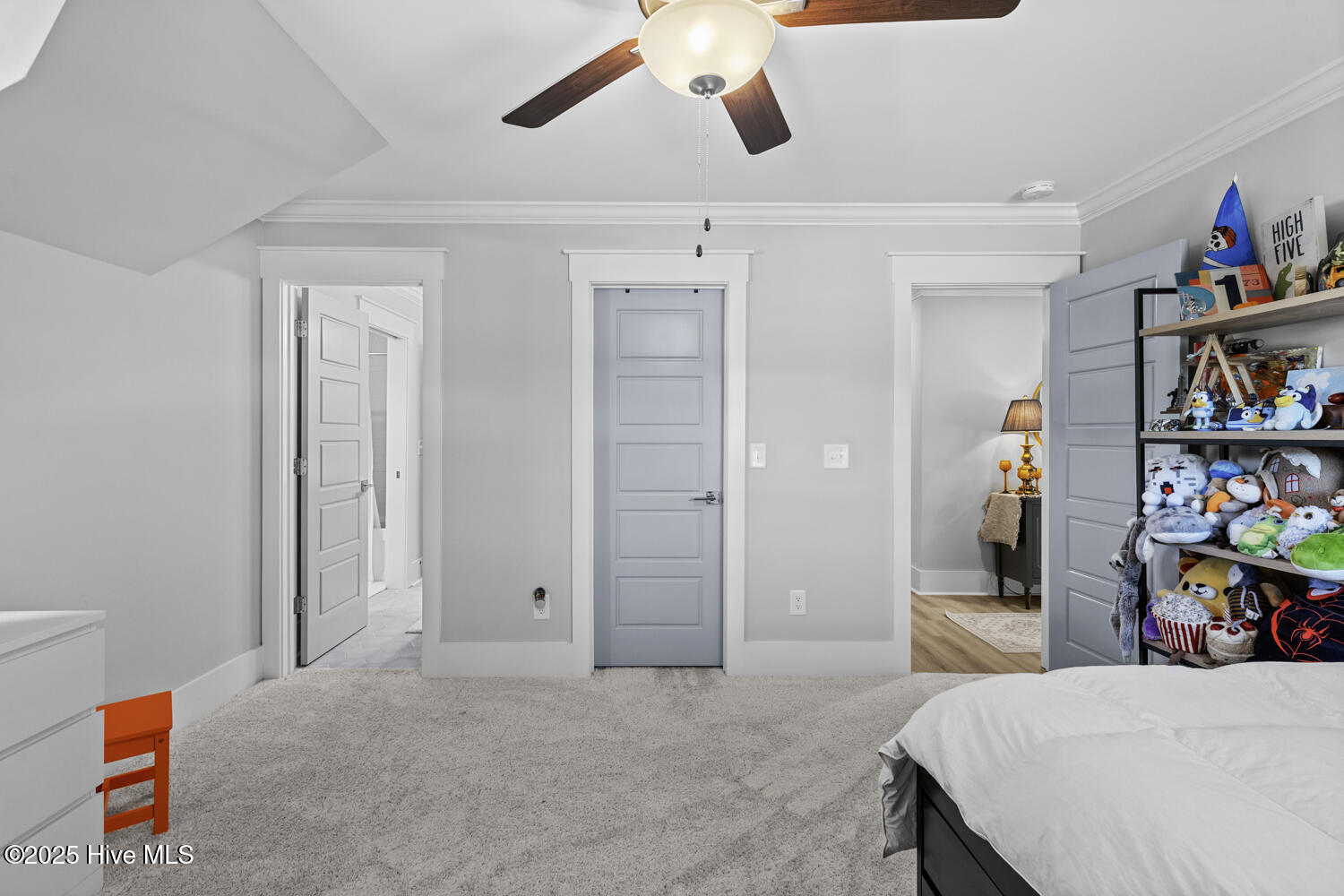 100545197 | Photo 53