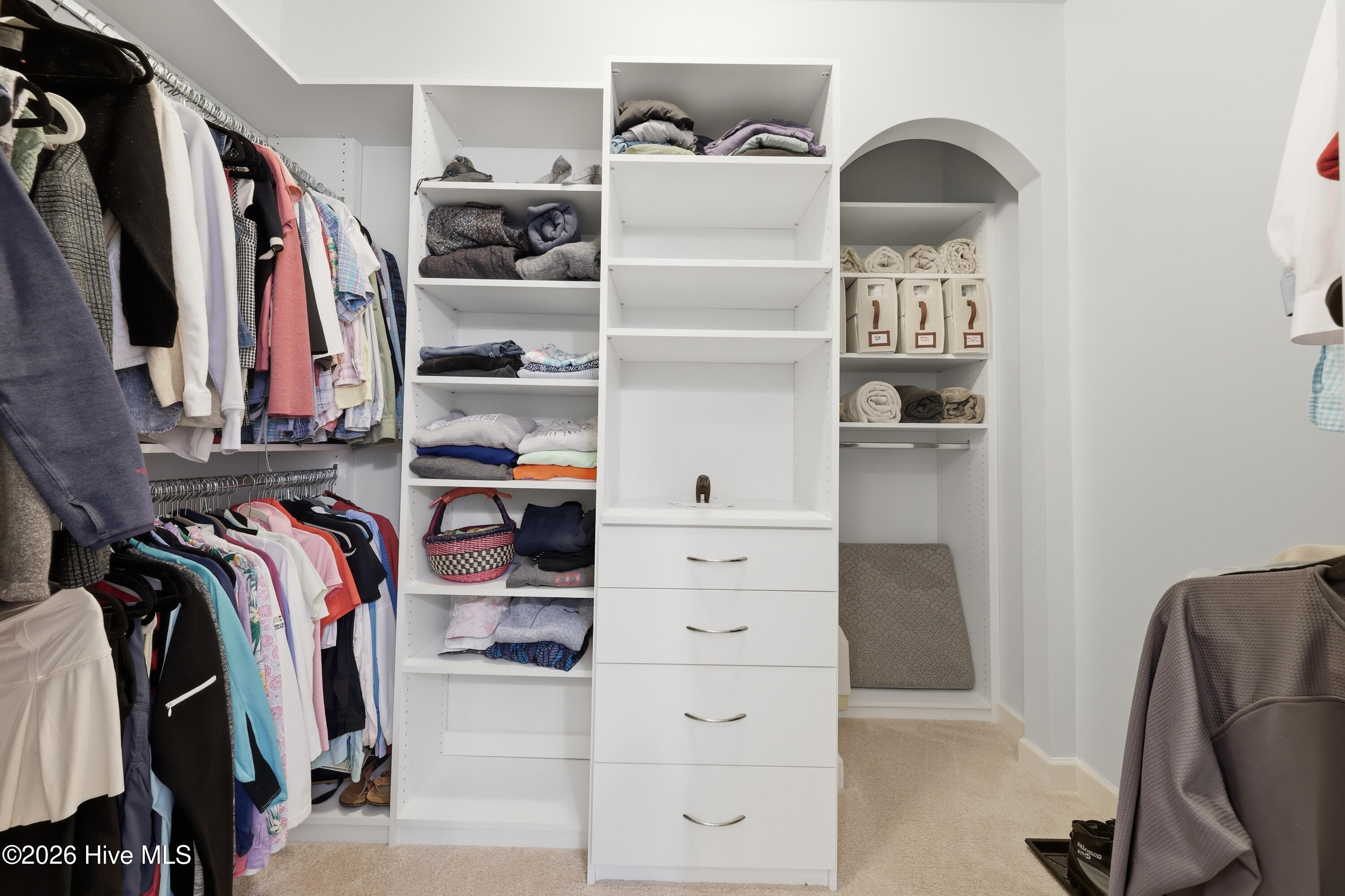 100557965 | Photo 18