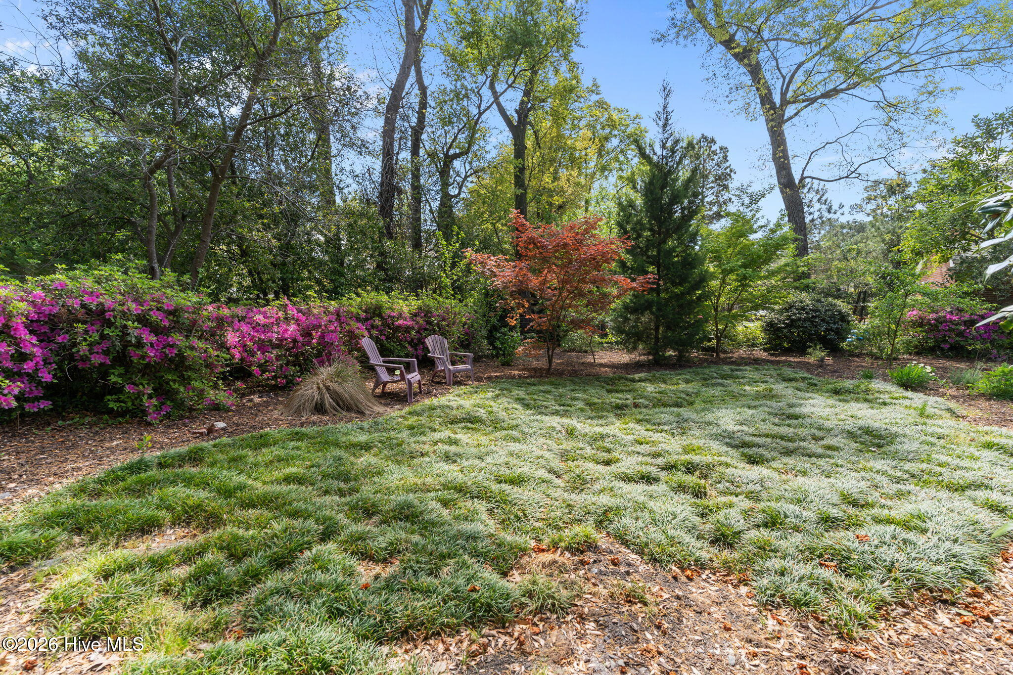 100565544 | Photo 38