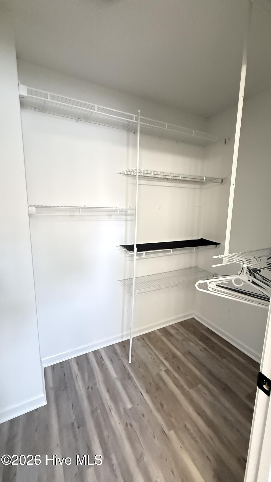 100567974 | Photo 11