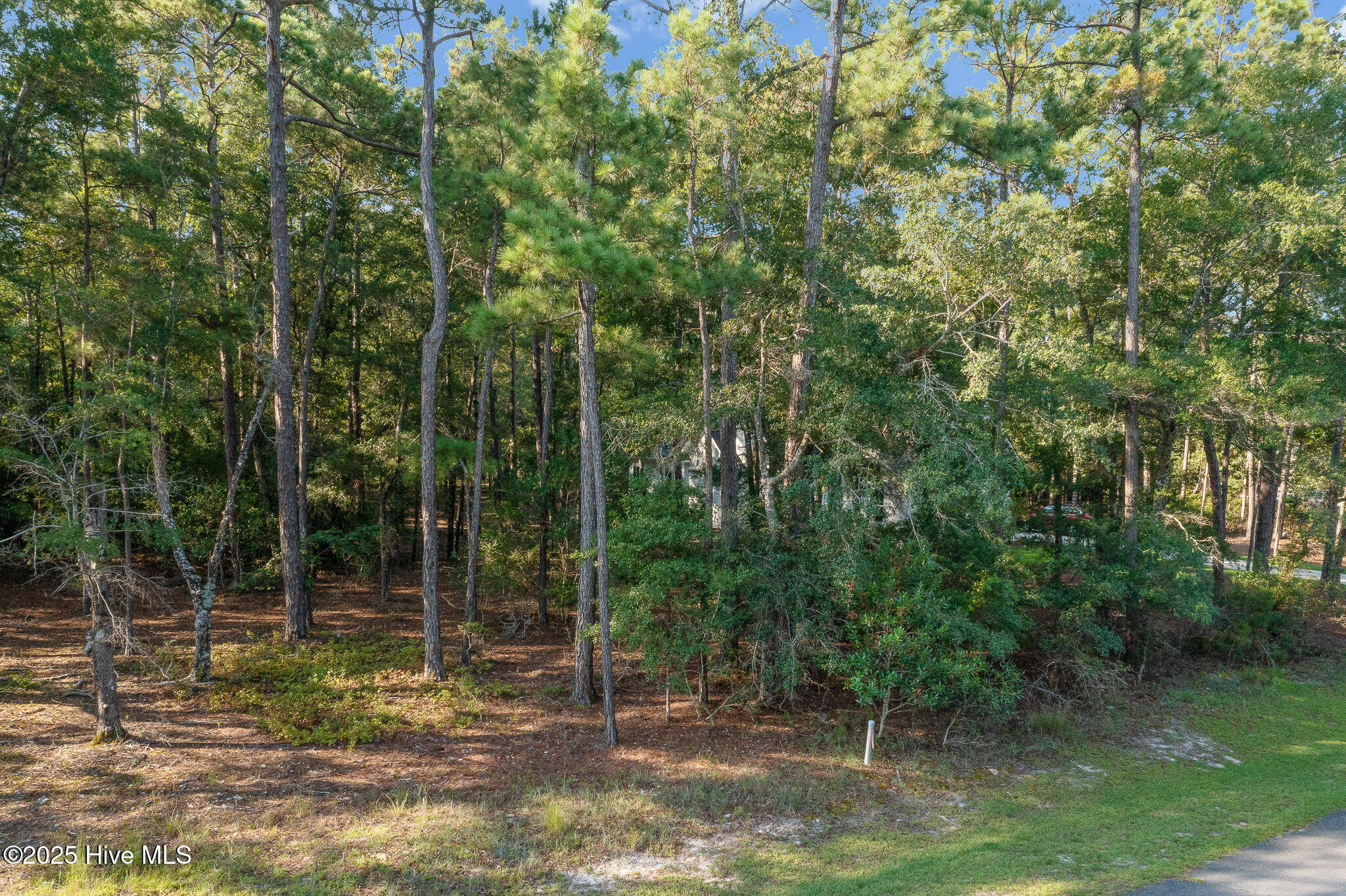 100526036 | Photo 18