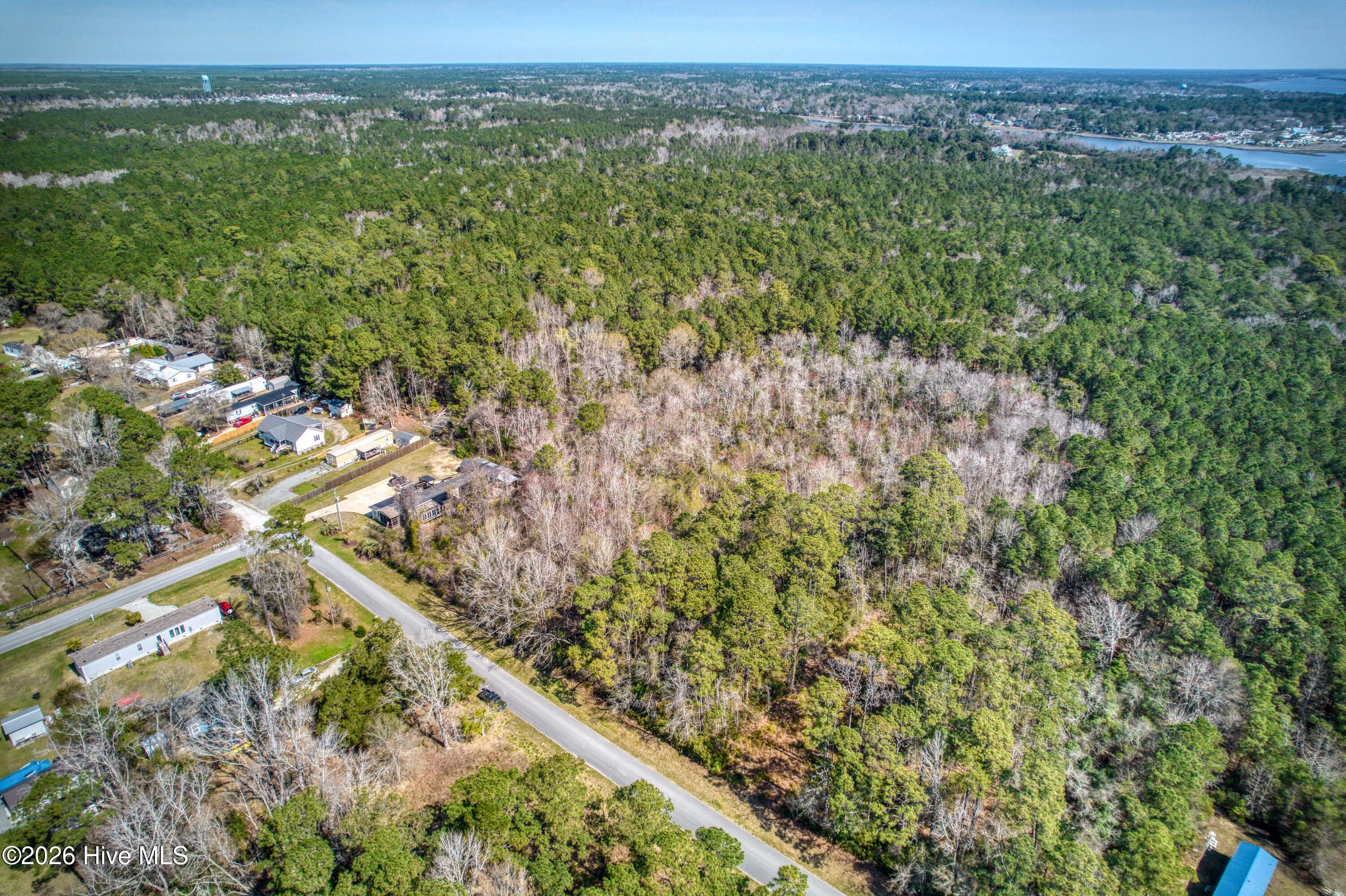 100560771 | Photo 10