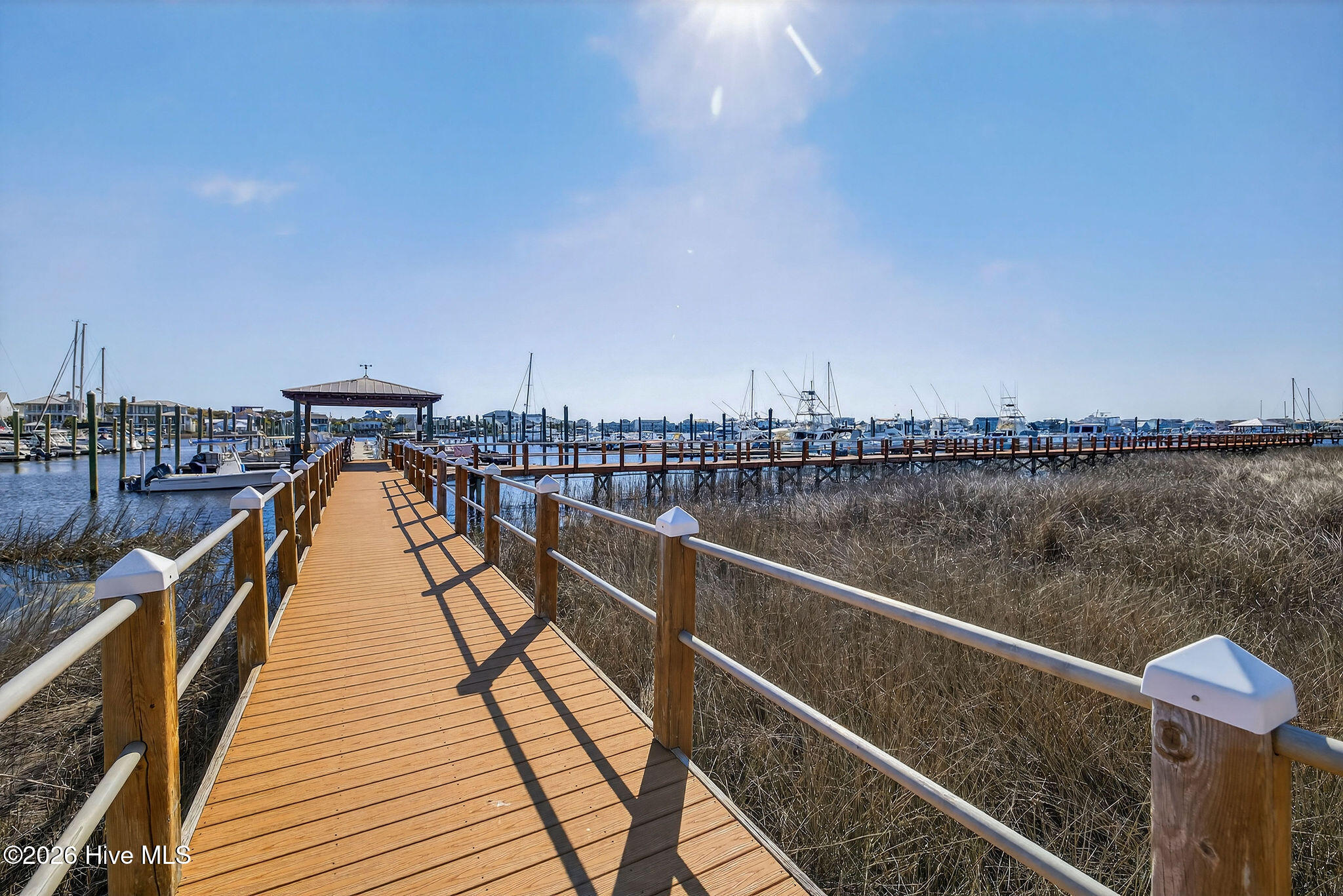 100562225 | Photo 53