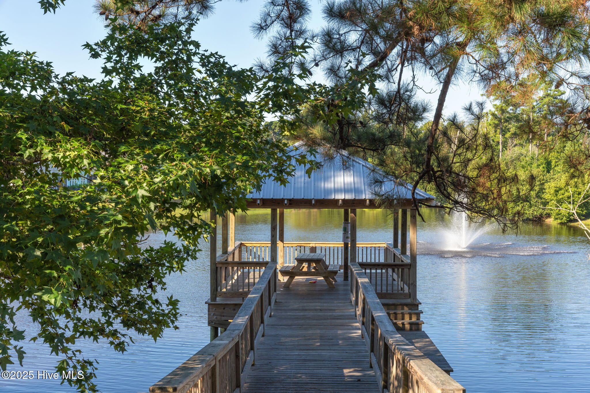 100527863 | Photo 62