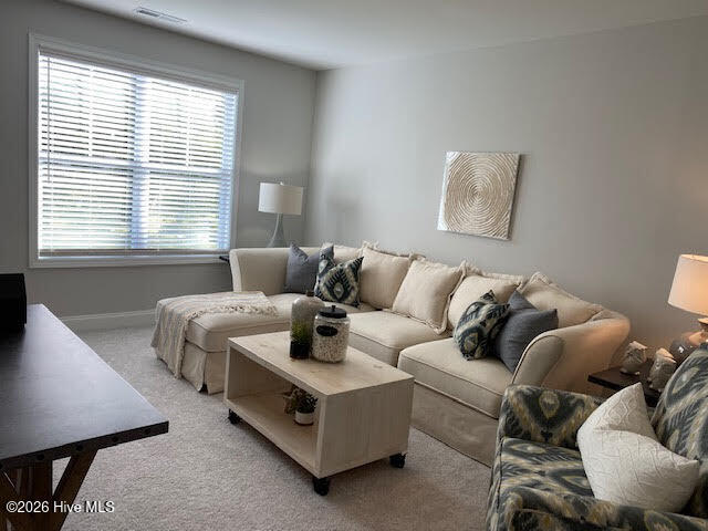 100567488 | Photo 18