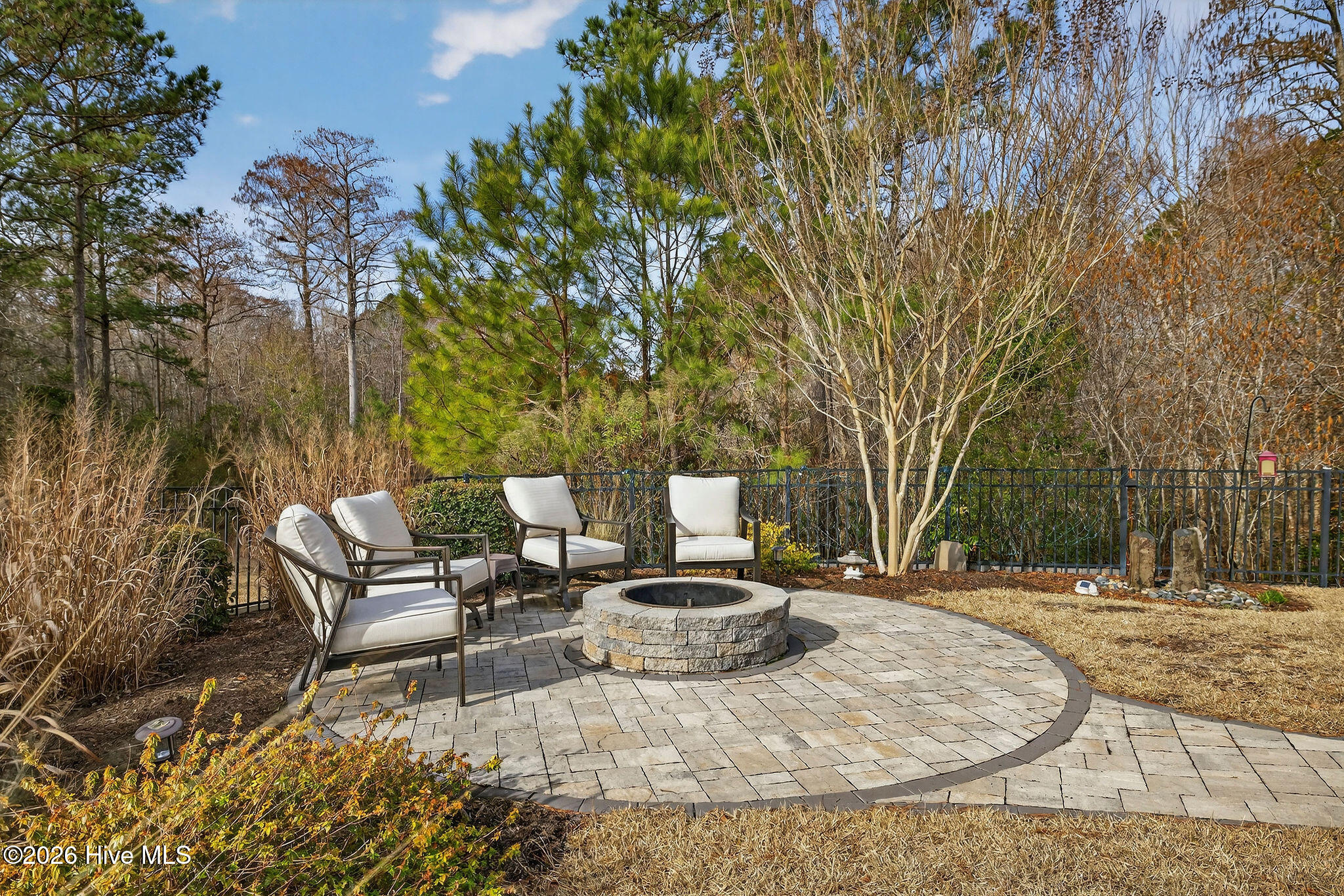 100558265 | Photo 46