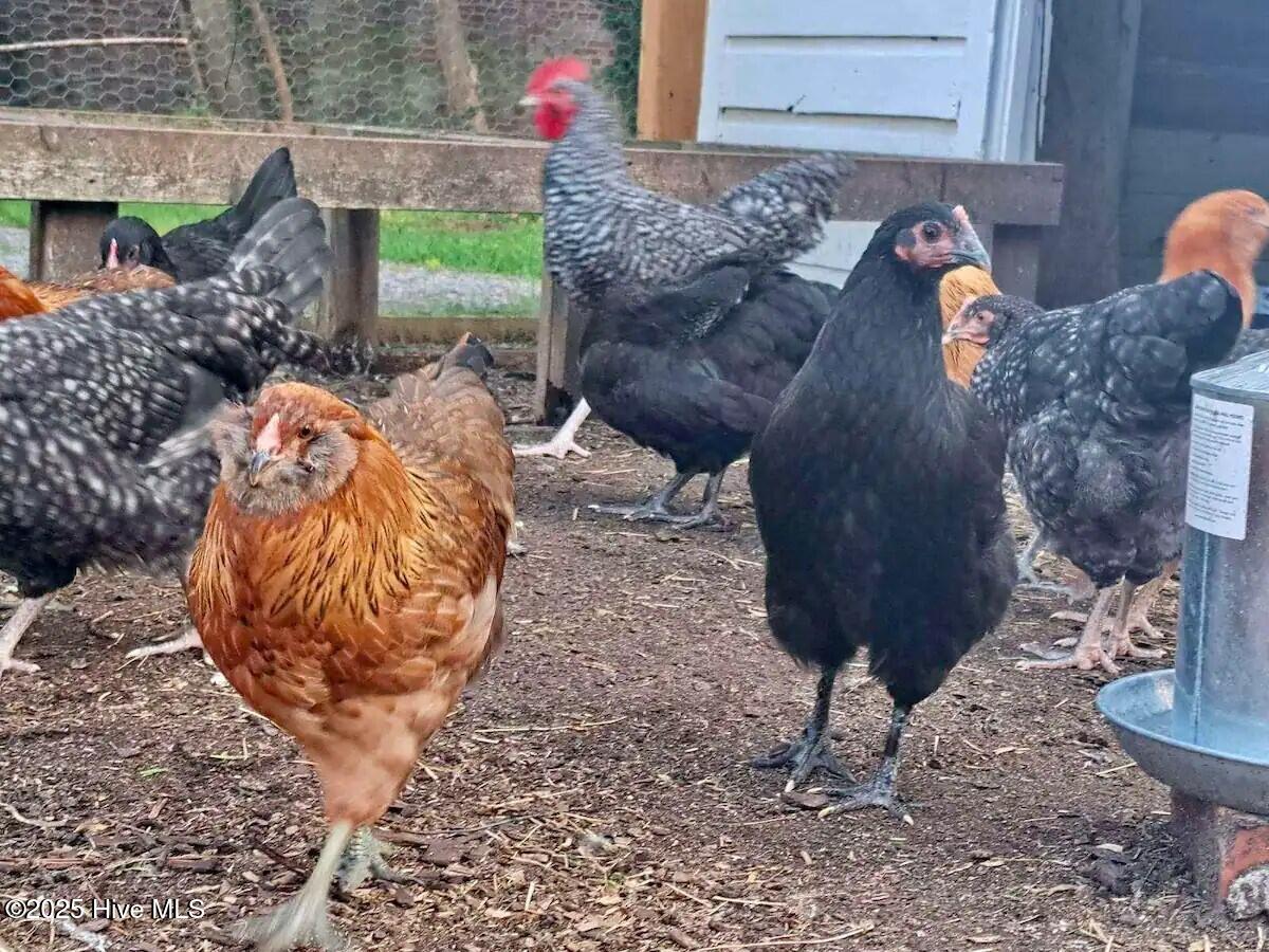 100545652 | Photo 30