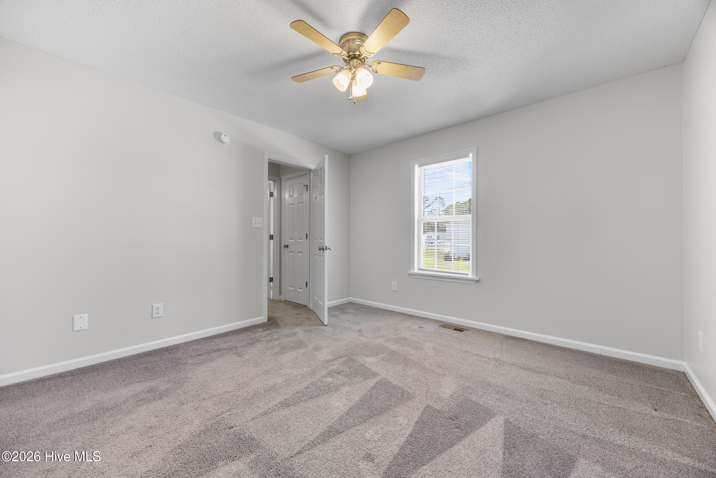 100561186 | Photo 19