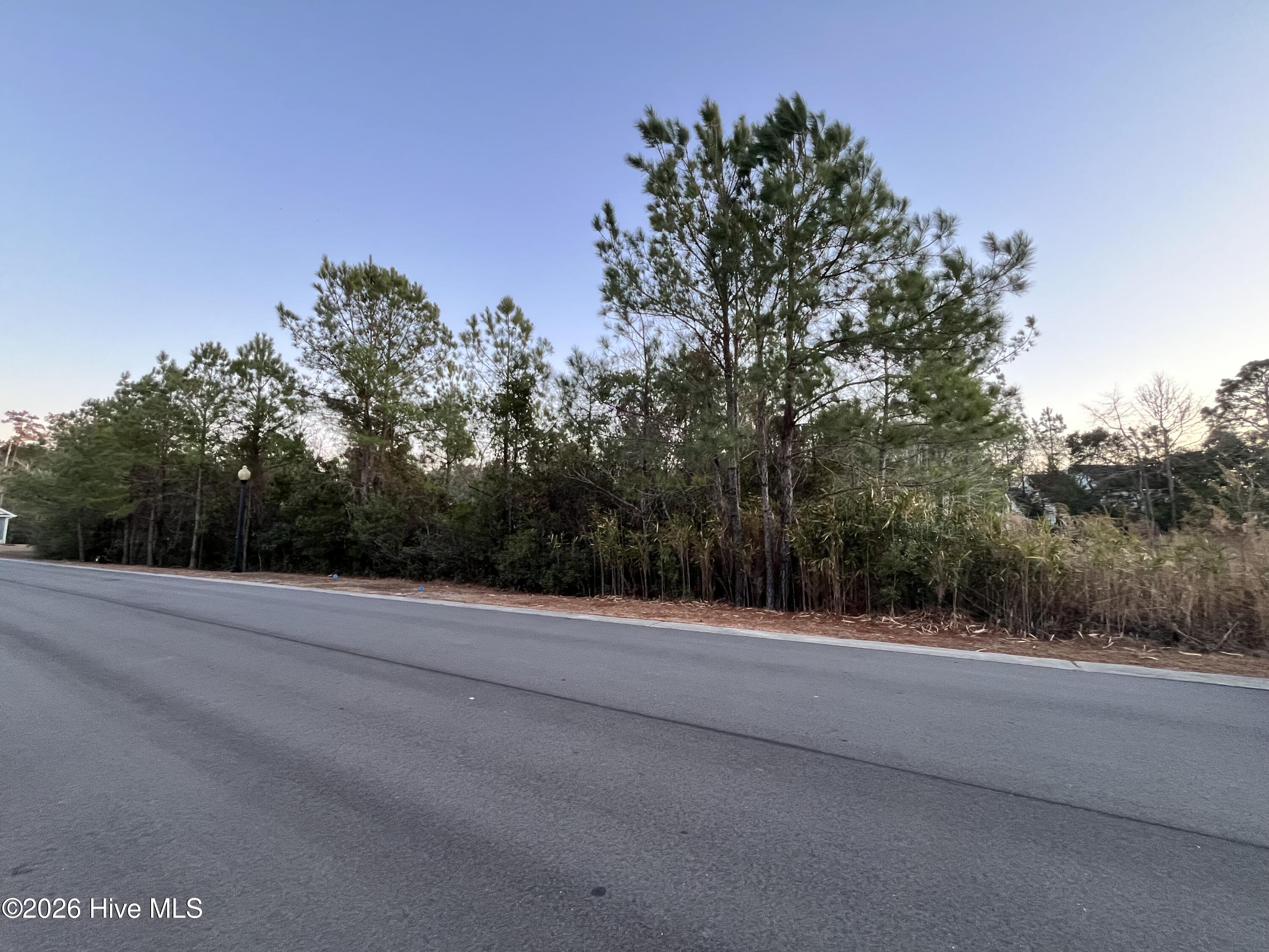 Tract 4 E Raynham Road, Fairmont, NC, 28340