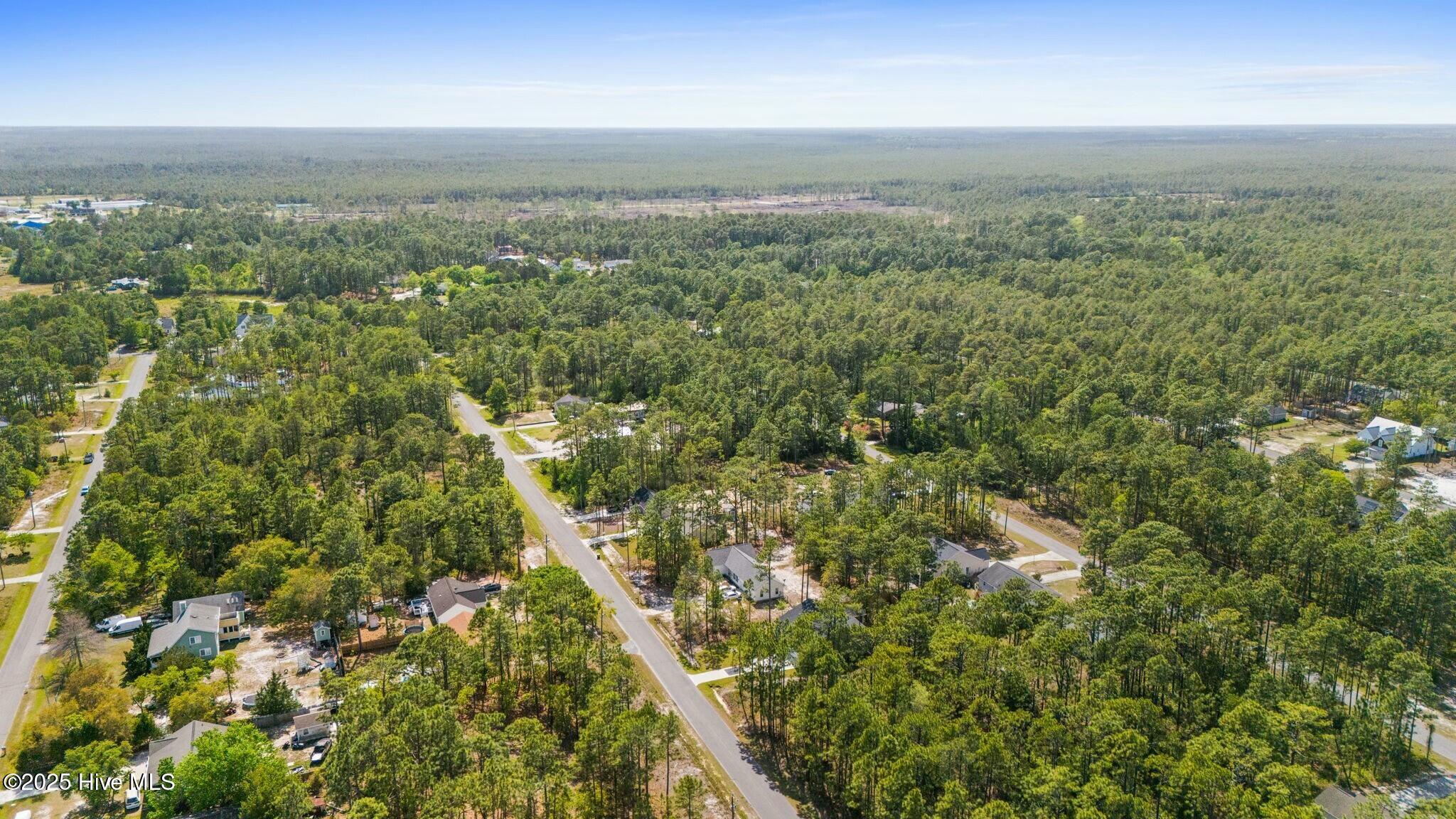 100503089 | Photo 16