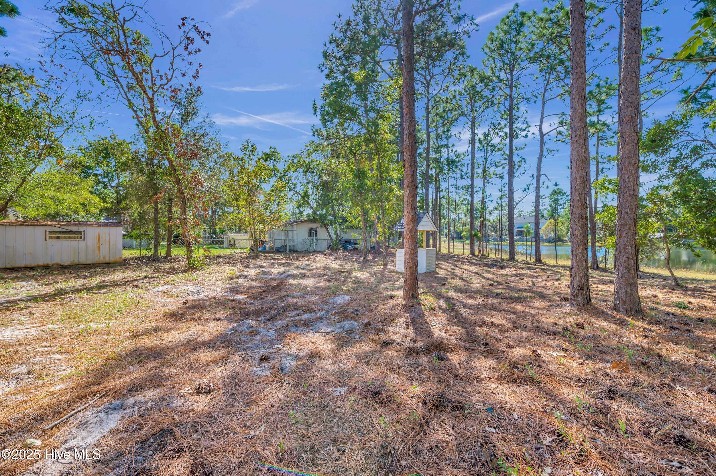 100537986 | Photo 37