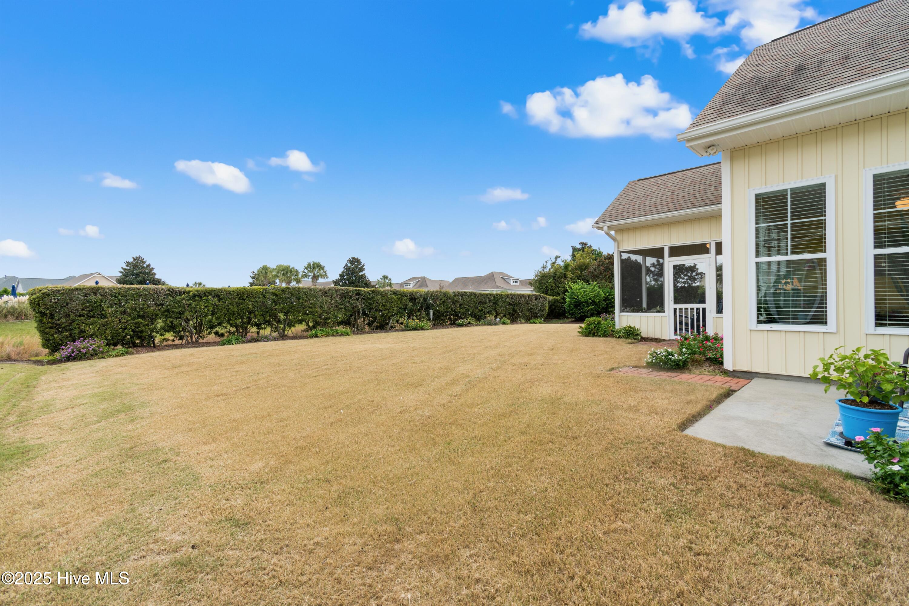 100538736 | Photo 17