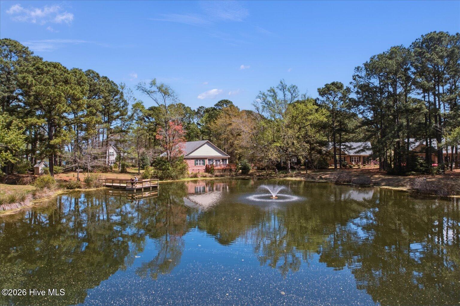 100564085 | Photo 42