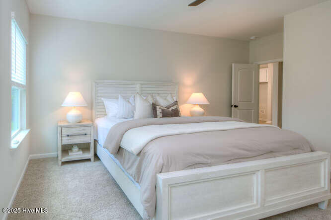 100524734 | Photo 20