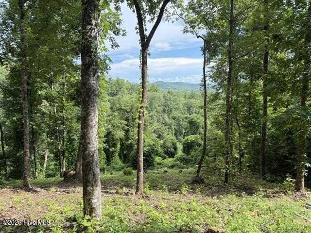 Exterior photo of Lot 25 25 Bryson Creek Drive, Murphy, NC 28906. MLS: 100589582