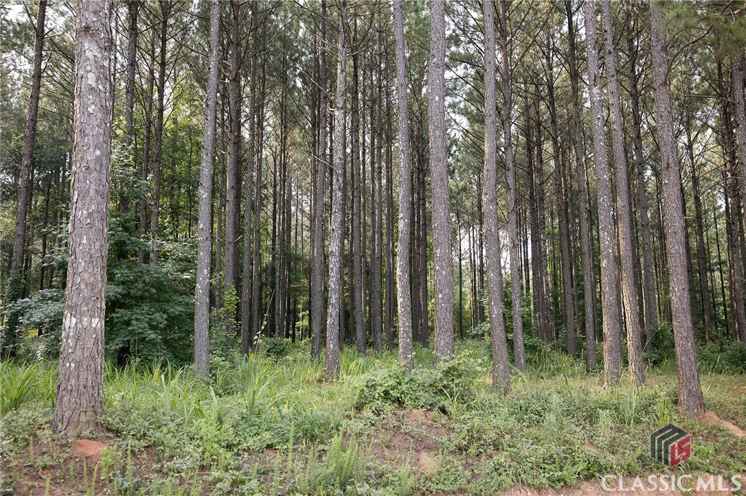 +/- 5.09 acre buildable tract in the pines of Colbert, GA! 367 feet of road frontage, just over 1 mile from downtown Colbert. Conveniently located less than 20 minutes to Athens and the University of Georgia.