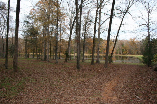 Double Branches Road, Lincolnton, GA 30817 Listing Photo  8