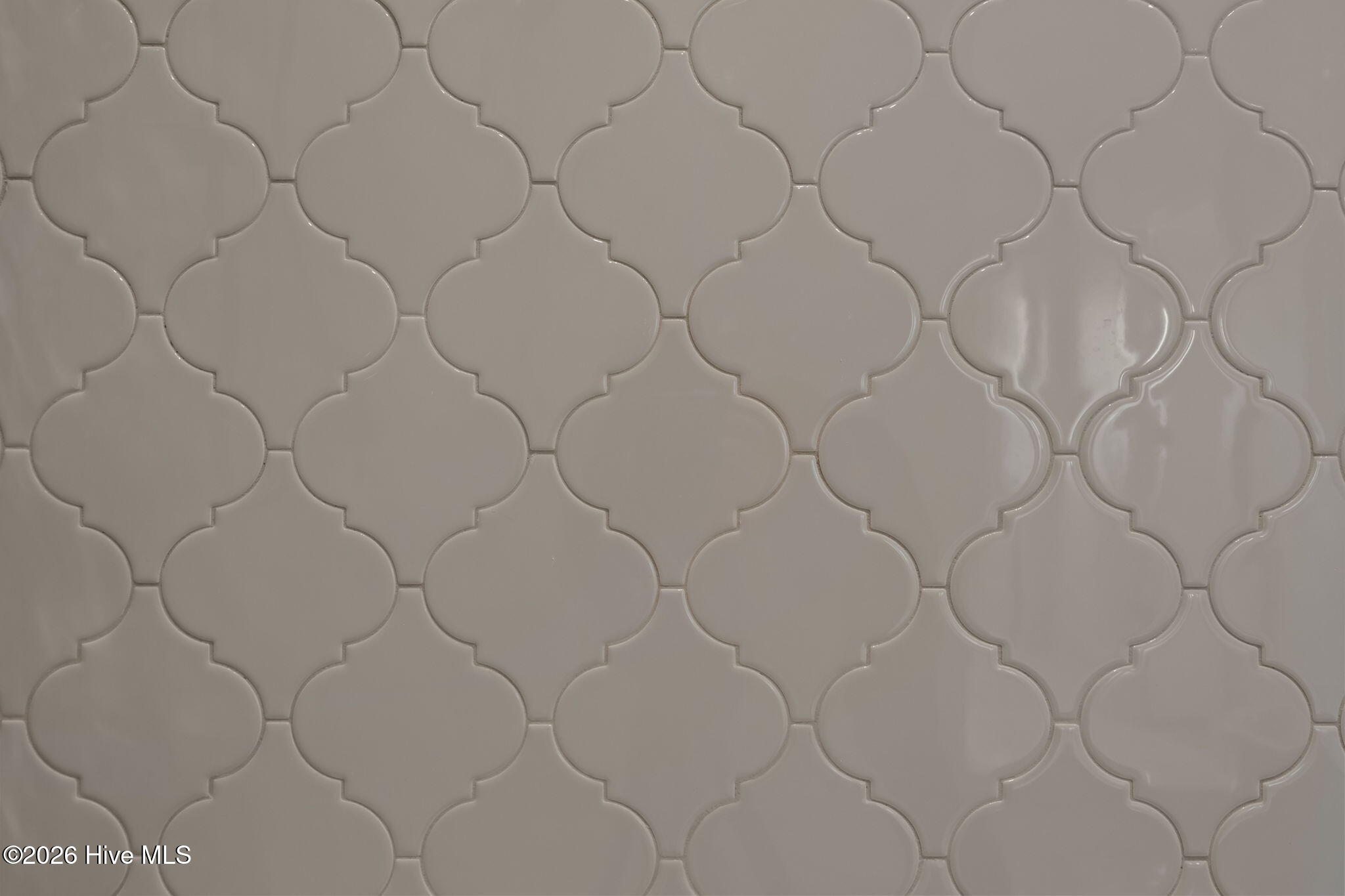 100552191 | Photo 81